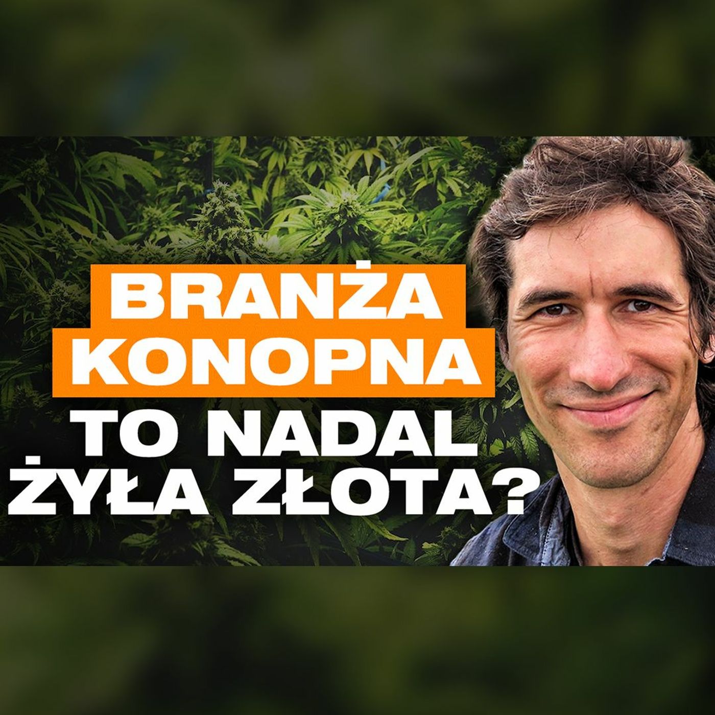 Przygody Przedsiębiorców