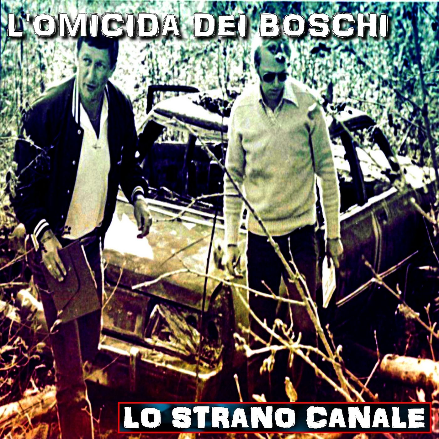 cover of episode L'OMICIDA DEL BOSCO - Il caso Wells Grey Park (Lo Strano Canale Podcast)