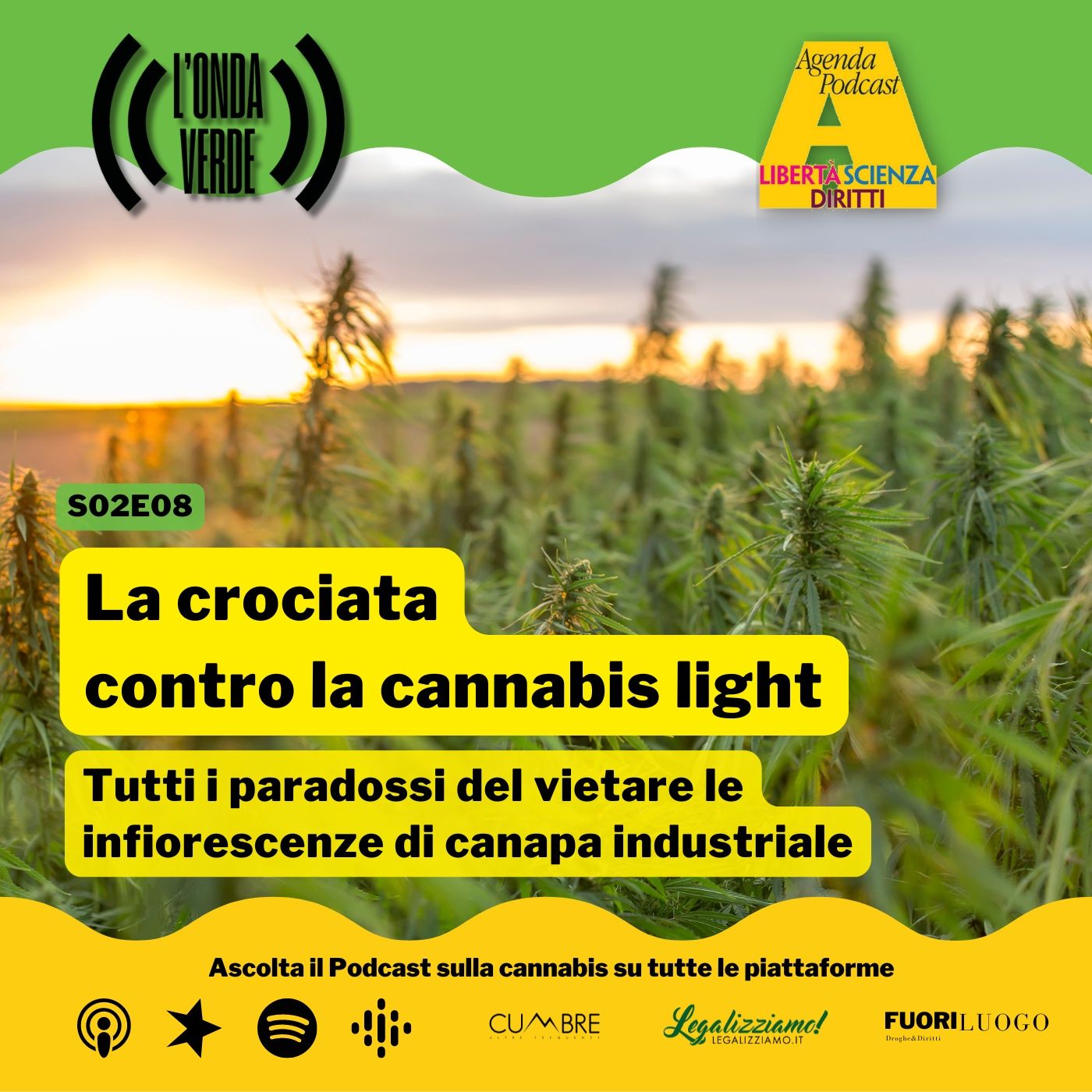 La crociata contro la cannabis light | S0208