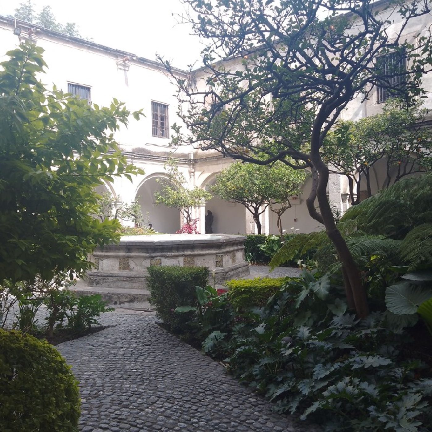 El podcast de Rosario Castillon