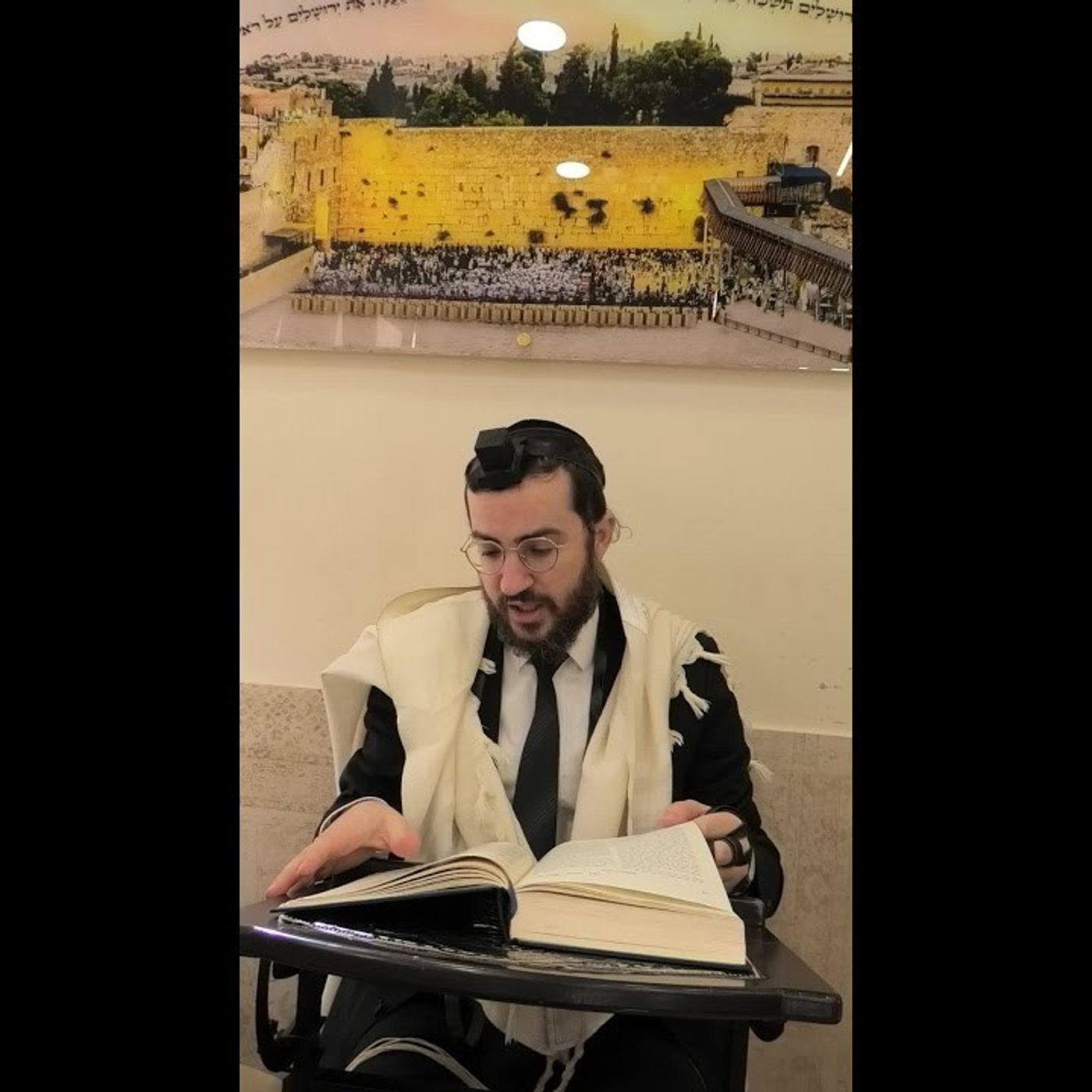 מניין י"ד עשין חלק ב' | להראות סרטונים שיש בהם גנאי על האחר episode artwork