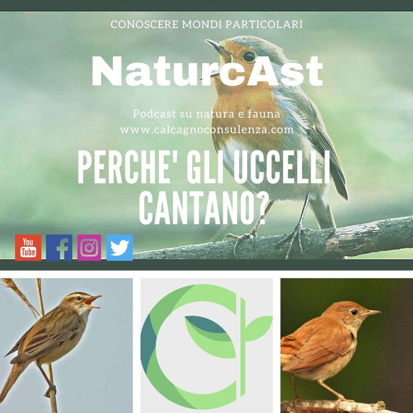 NaturcAst