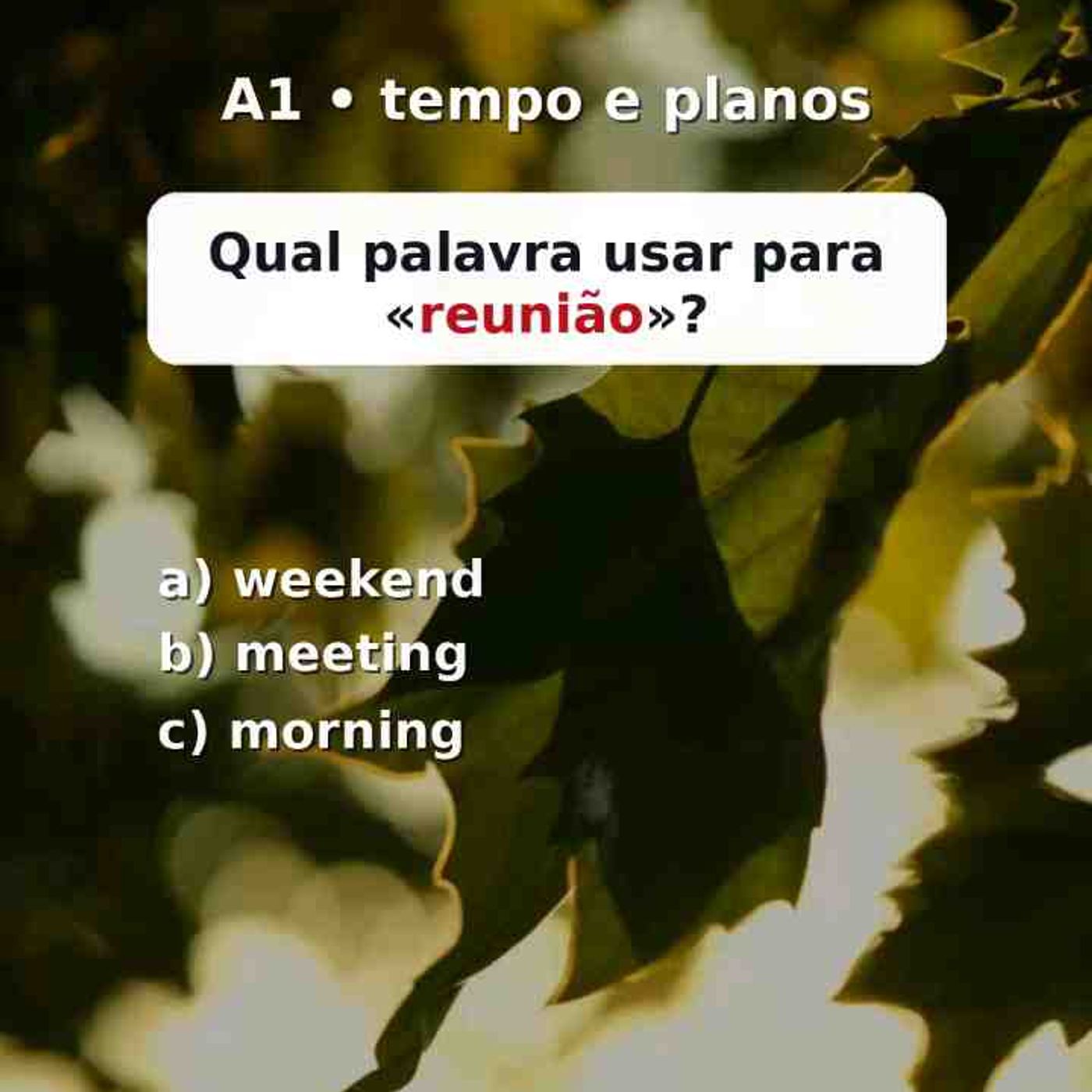 Treine palavras básicas de inglês sobre dias_ horários e compromissos. Desafio rápido para iniciantes.