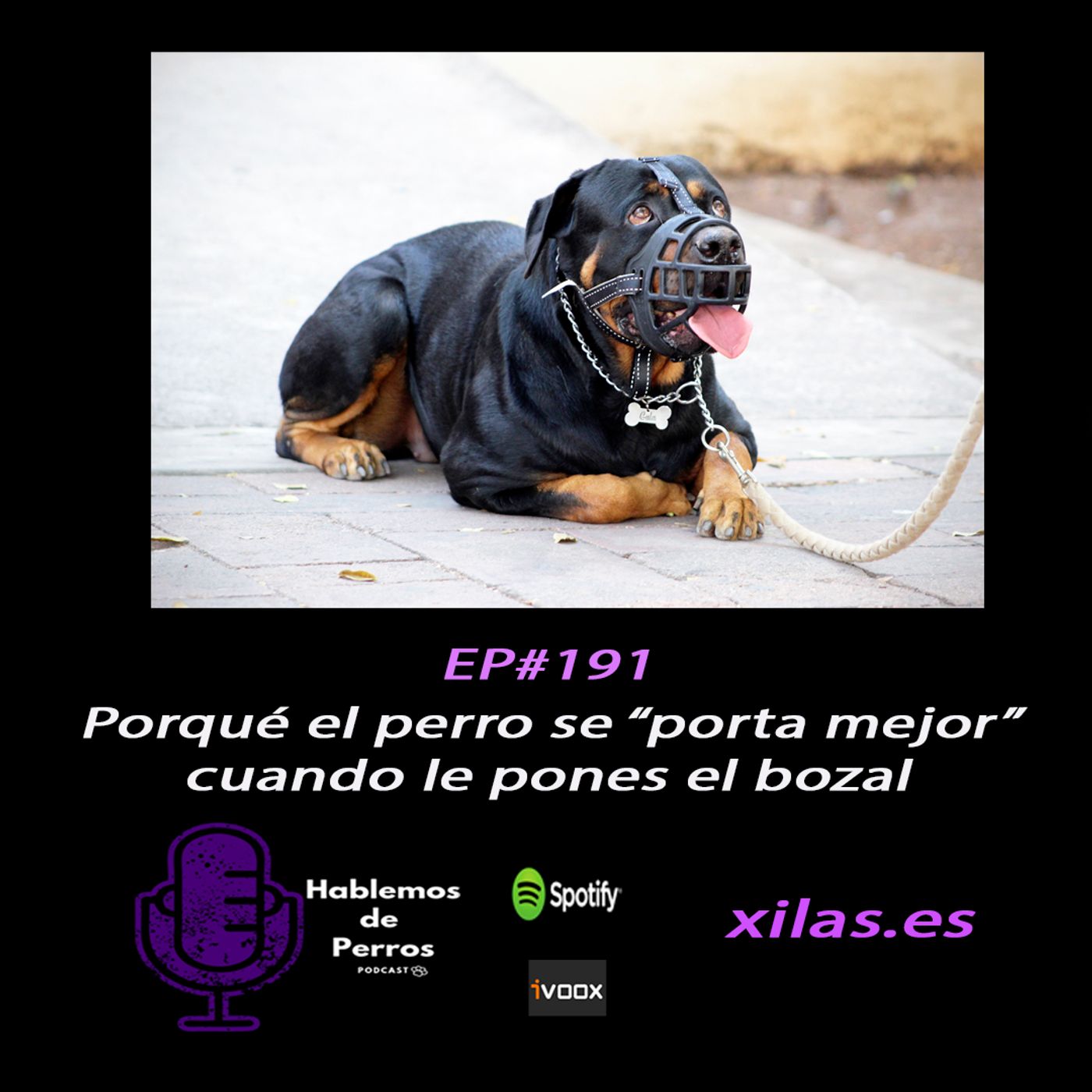 Hablemos de perros