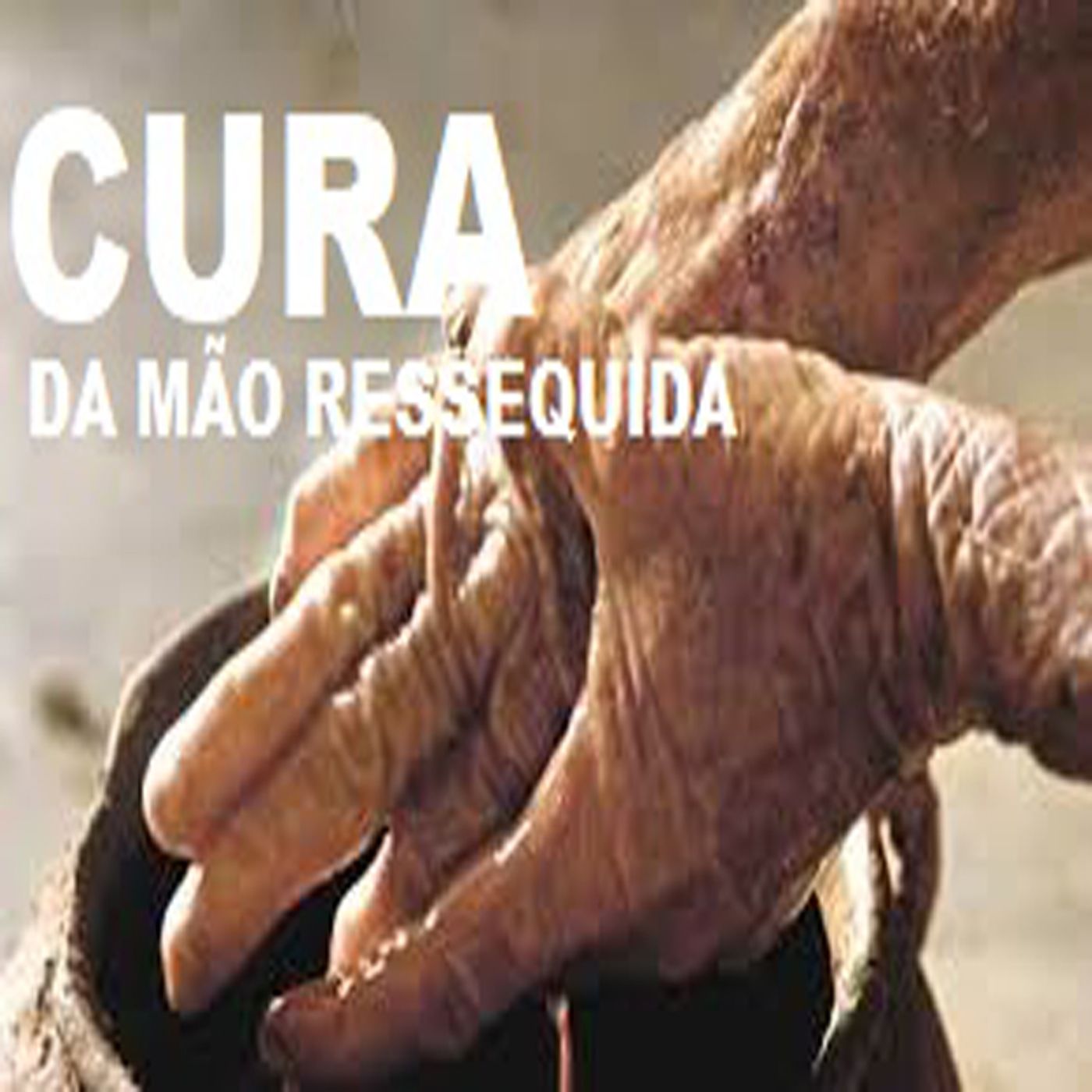 Pregações 2019