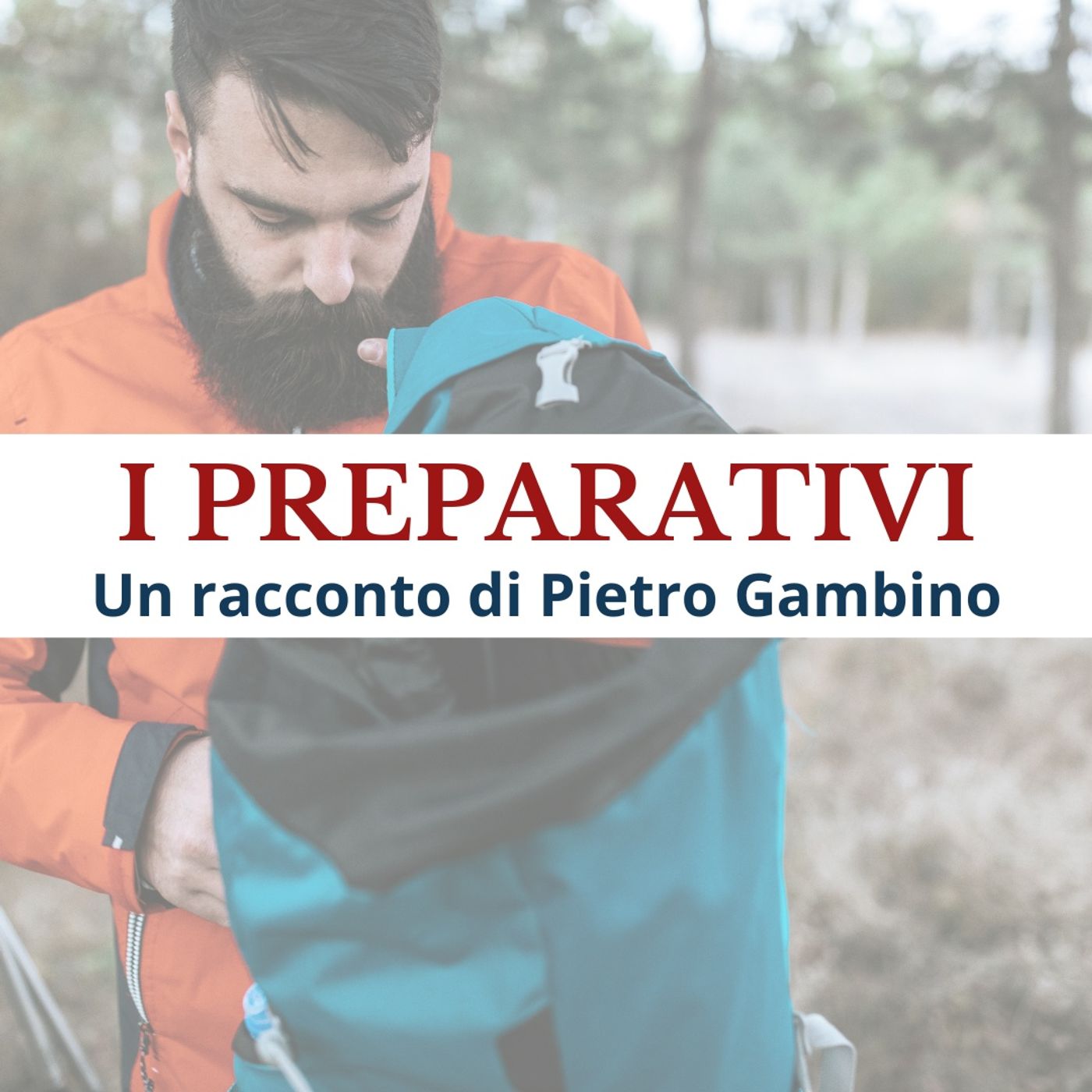 I preparativi episode artwork