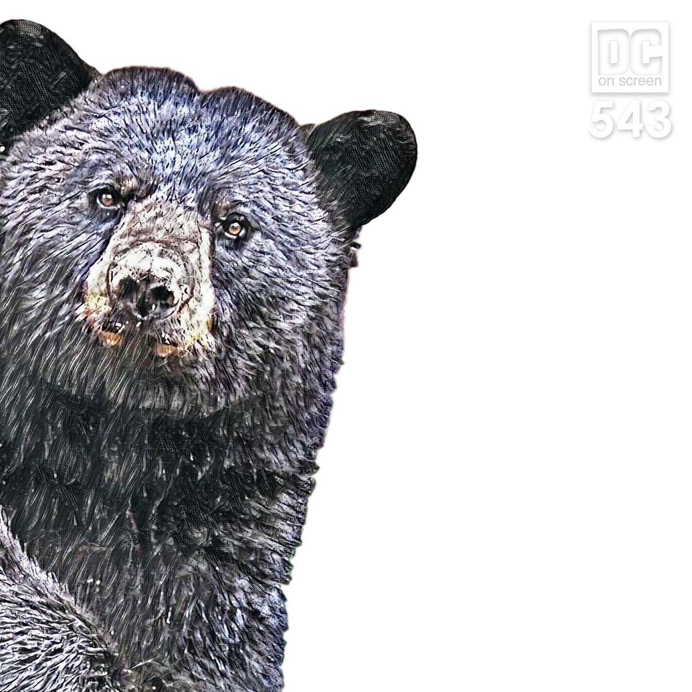 Bear With Us (Puns + Trailer Thoughts)