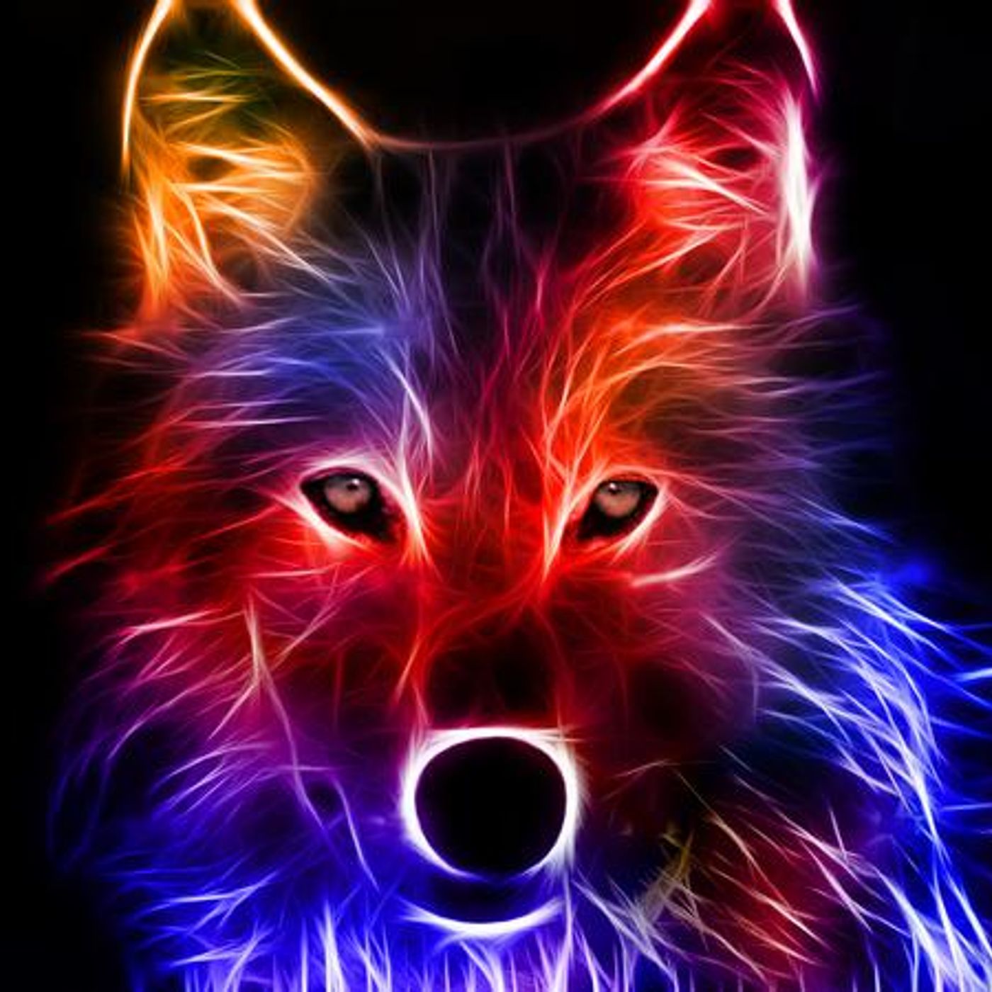WOLF PaQ RADIO