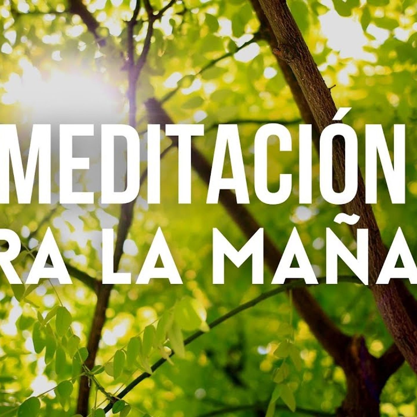 MEDITACIÓN DE LA MAÑANA 15 MINUTOS _ MEDITACIÓN PARA INICIAR EL DÍA _ ❤ EASY ZEN(M4A_128K) episode artwork