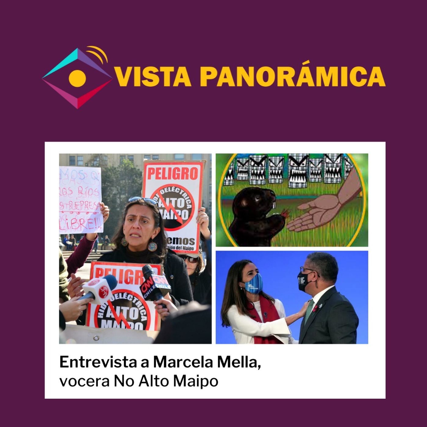 #16: COP26, Salvemos el Bosque de Reñaca y entrevista a Marcela Mella de No Alto Maipo episode artwork