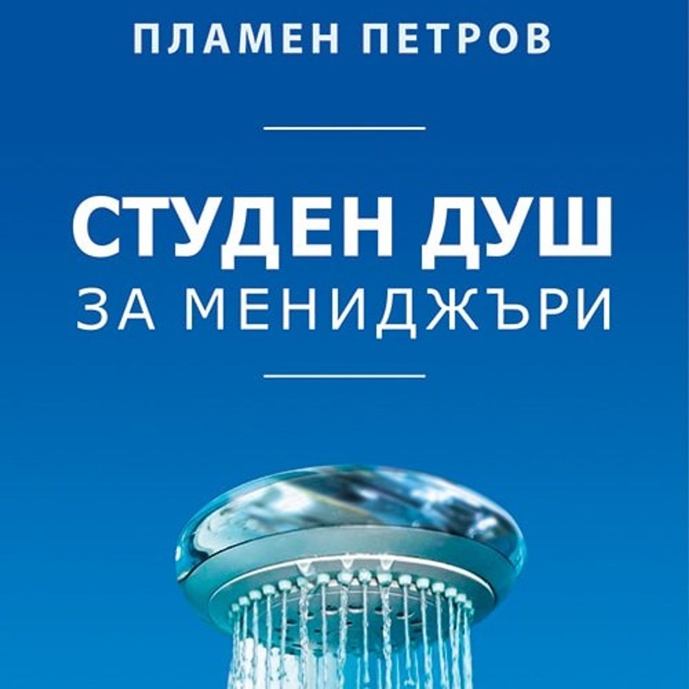 Синдром "Не е моя работа" - ИИ дискусия на глава 2 от книгата "Студен душ за мениджъри" episode artwork