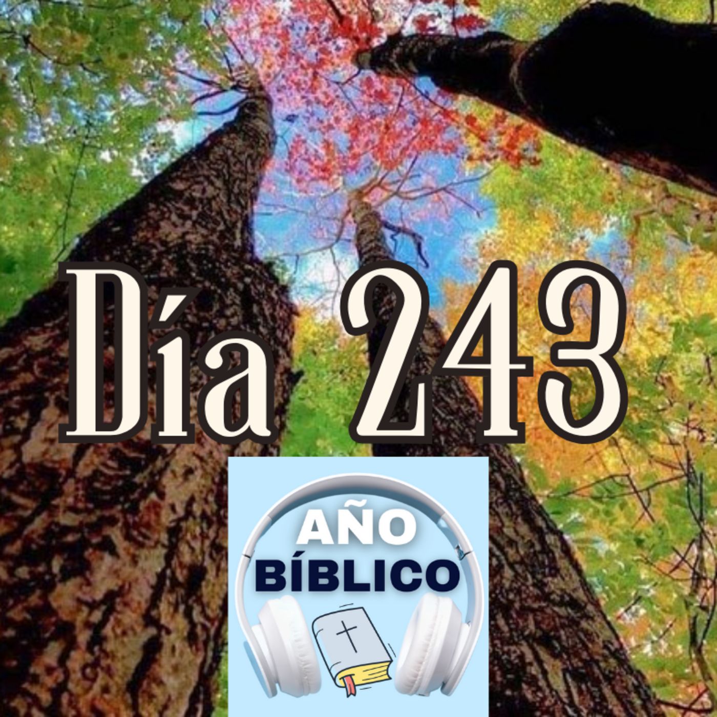 Día 243 - Salmo 102:1-5, Eclesiastés 7-9 y 2 Corintios 3 episode artwork