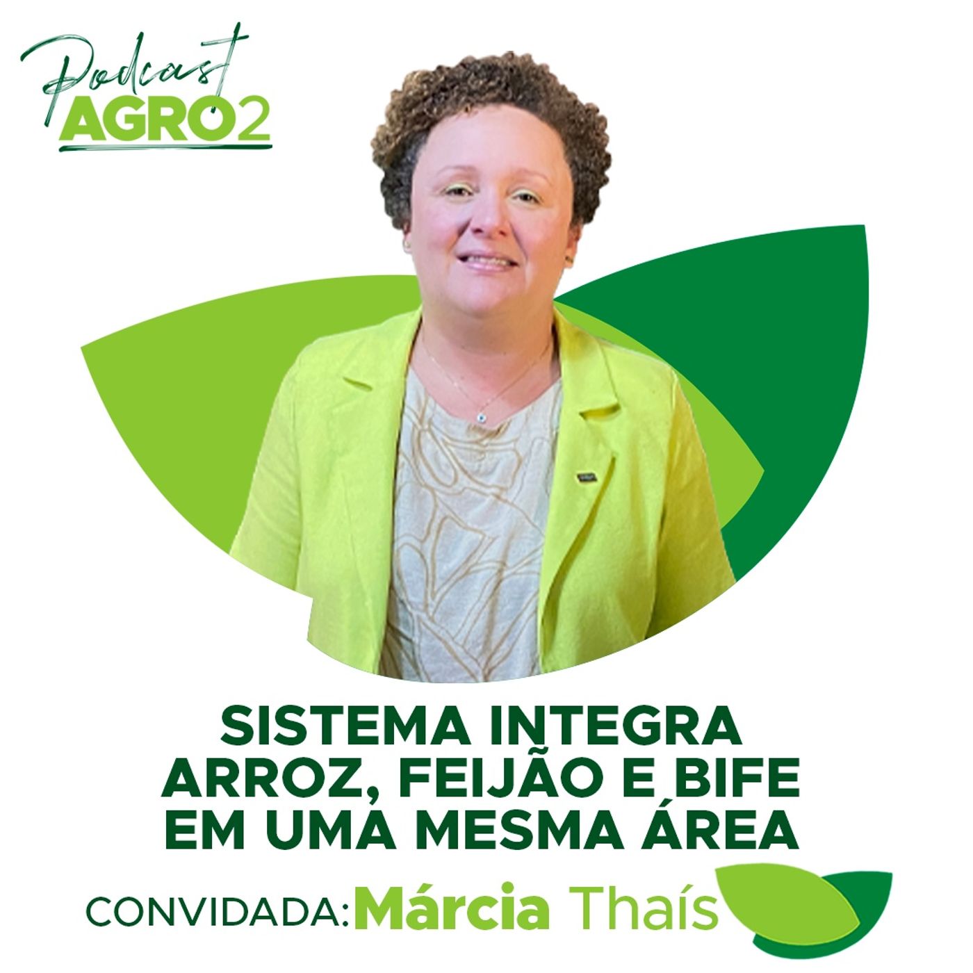 ILP Prato Feito: sistema integra cultivo de arroz, feijão e braquiária em uma mesma área #201 episode artwork
