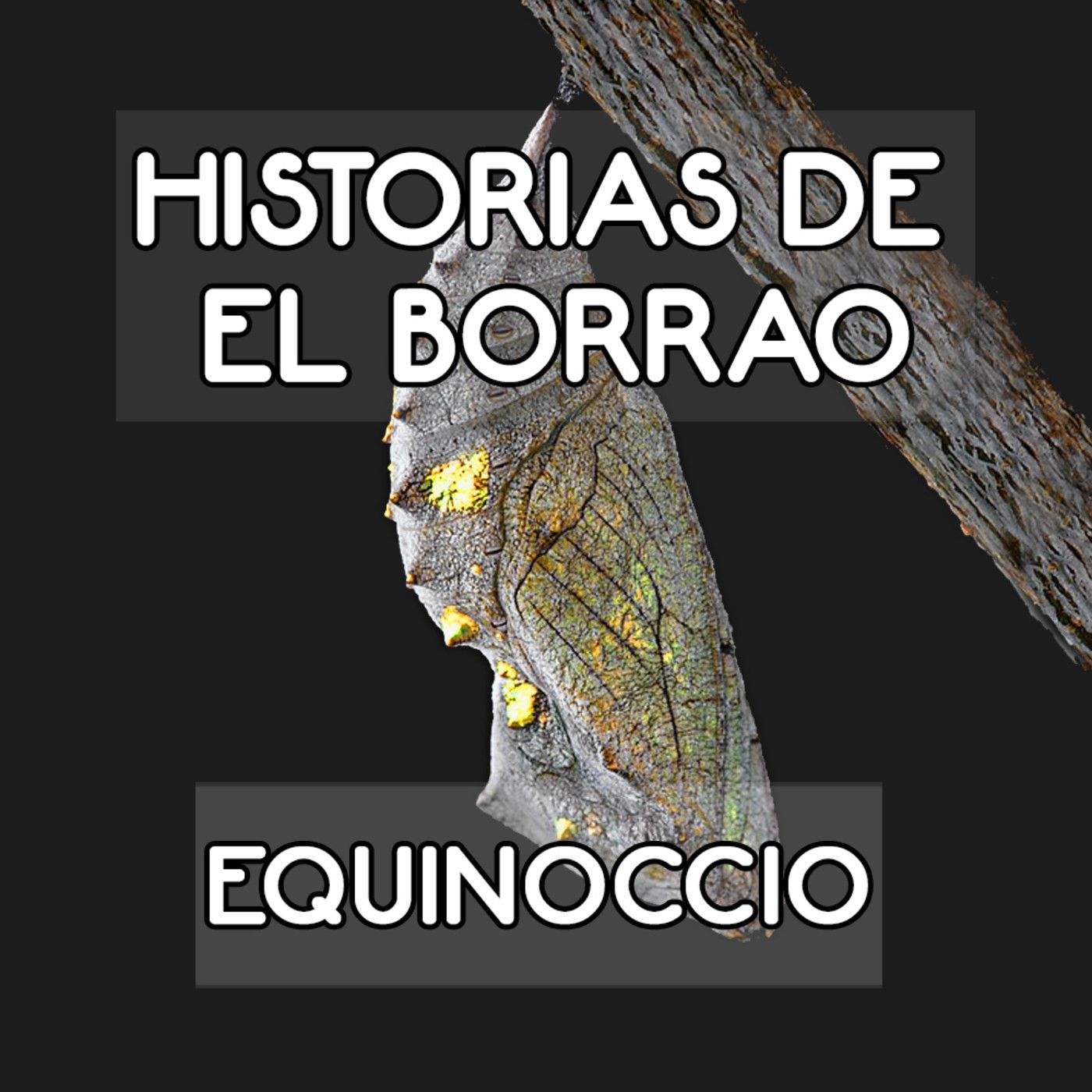 Voces en la Caja