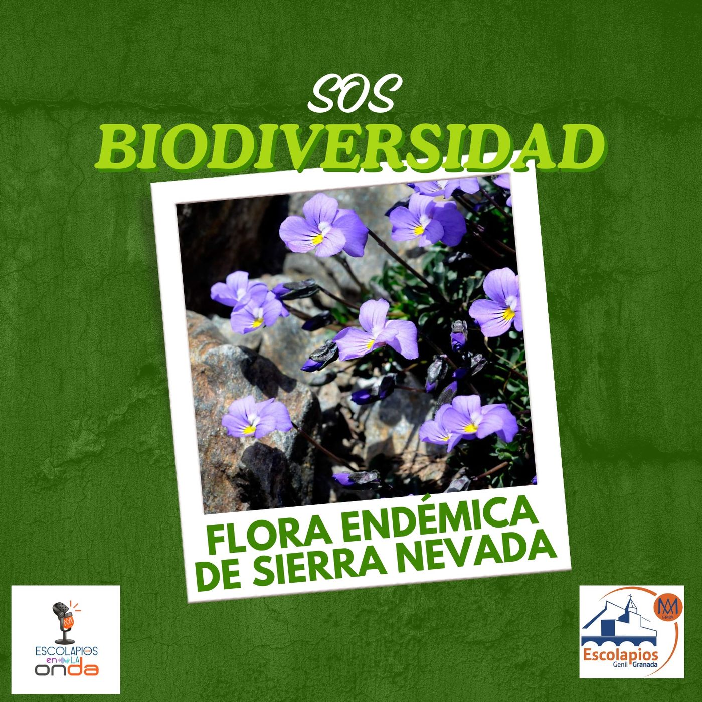 ConCiencia verde
