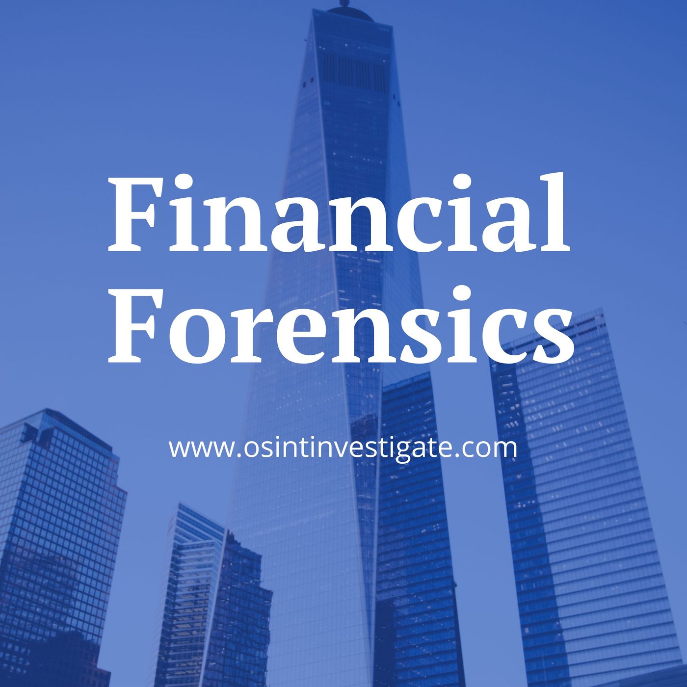 Financial Forensics Briefing: Hidden Intelligence Signals in Global Stock Markets