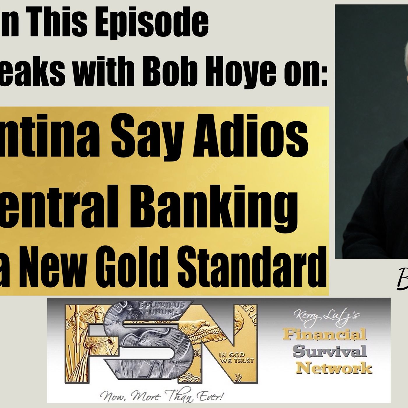 cover of episode Argentina Say Adios to Central Banking -- Rise of a New Gold Standard - Bob Hoye  #5964