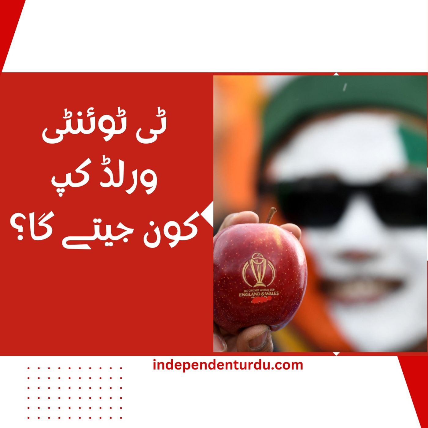ٹی 20 ورلڈ کپ فاتح کون ہوگا؟ episode artwork