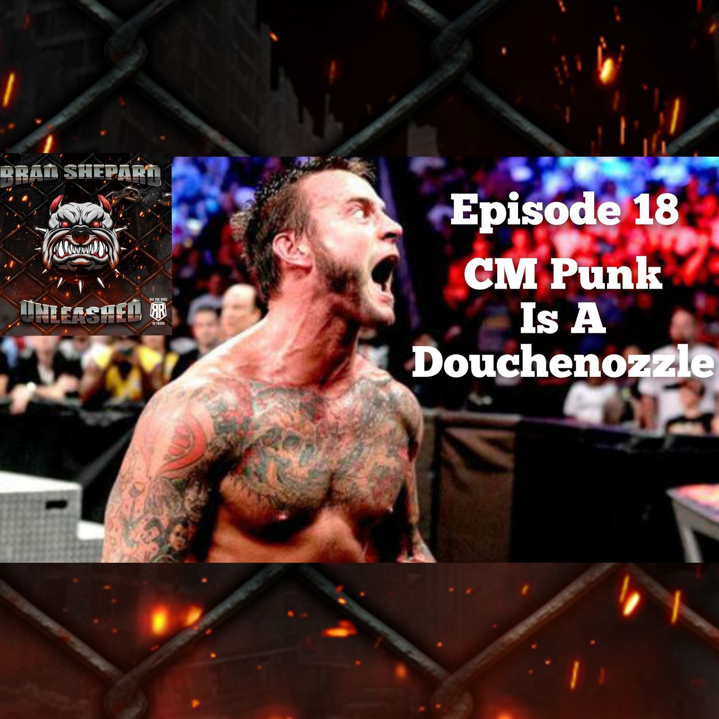 Episode 18 : CM Punk Is A Douchenozzle