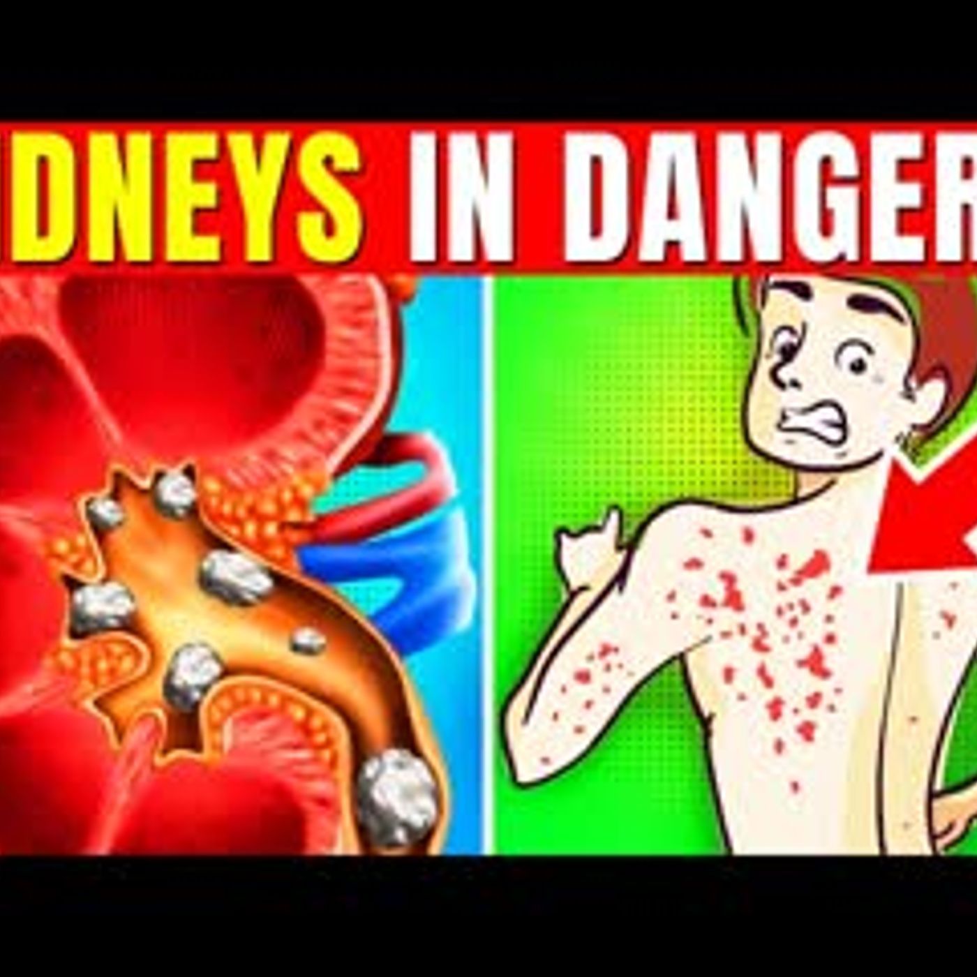 12 ALARMING Signs Your Kidneys May Be In DANGER! ⚠️ episode artwork