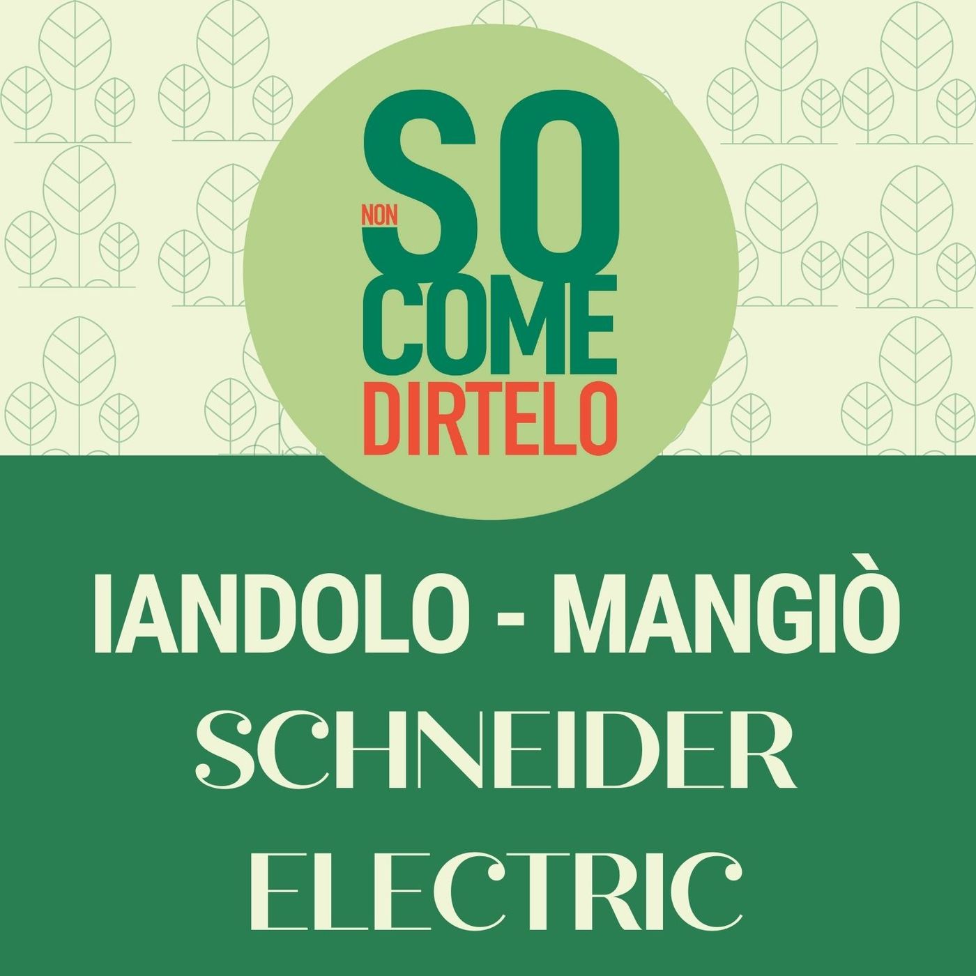 20. Iandolo e Mangiò - Schneider Electric episode artwork