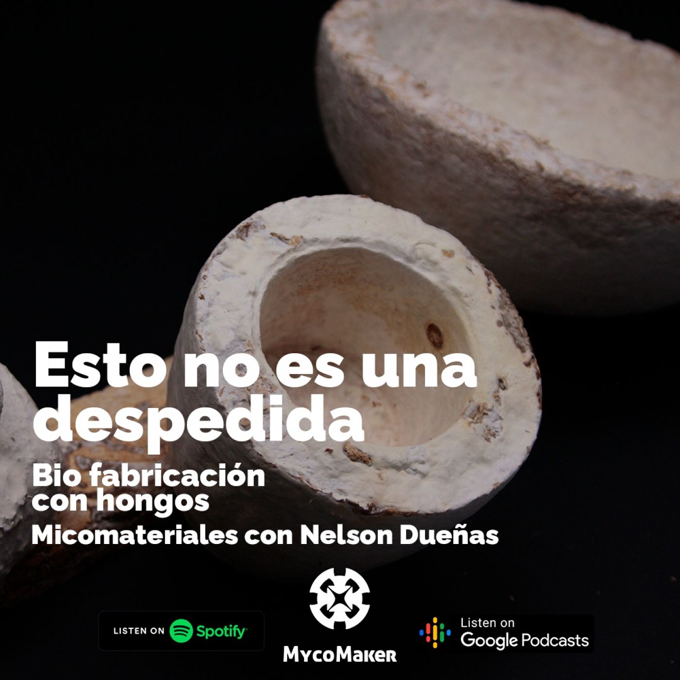 Pasión por los hongos