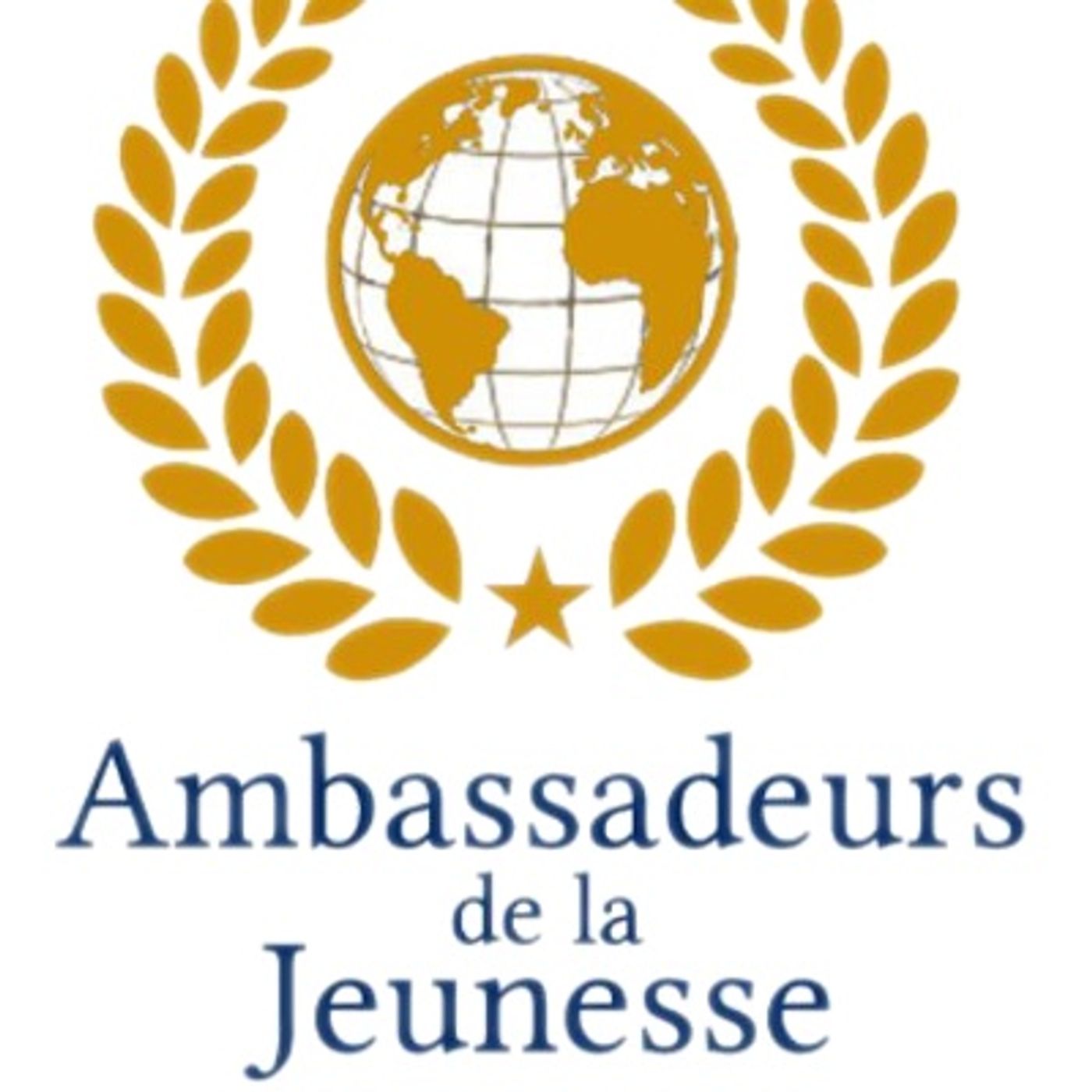 Intervista ad Adrian Vallecchia di "Ambassadeurs de la Jeunesse" - 28giugno2016