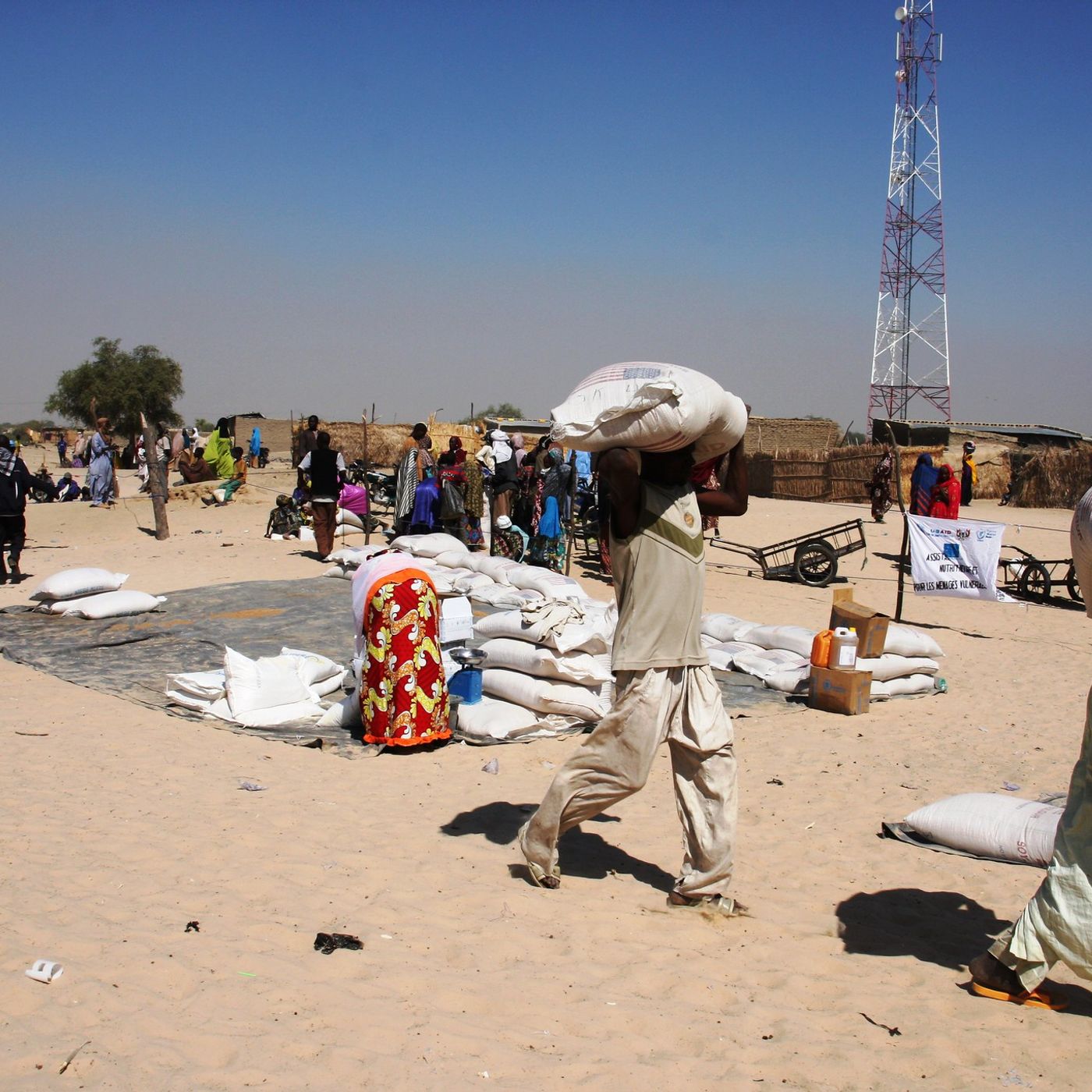 Réponse humanitaire au Niger : quelles synergies entre ONG, populations et autorités ? (Forum) episode artwork