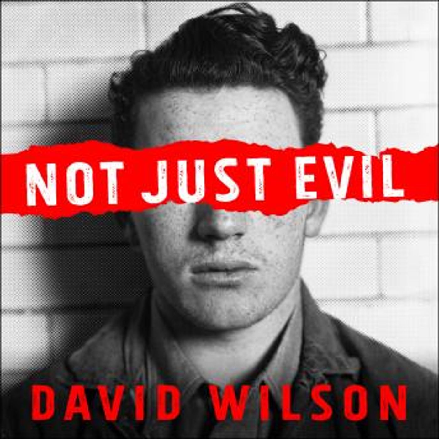 Not Just Evil: Murder, Hollywood, and California’s First Insanity Plea by David Wilson episode artwork