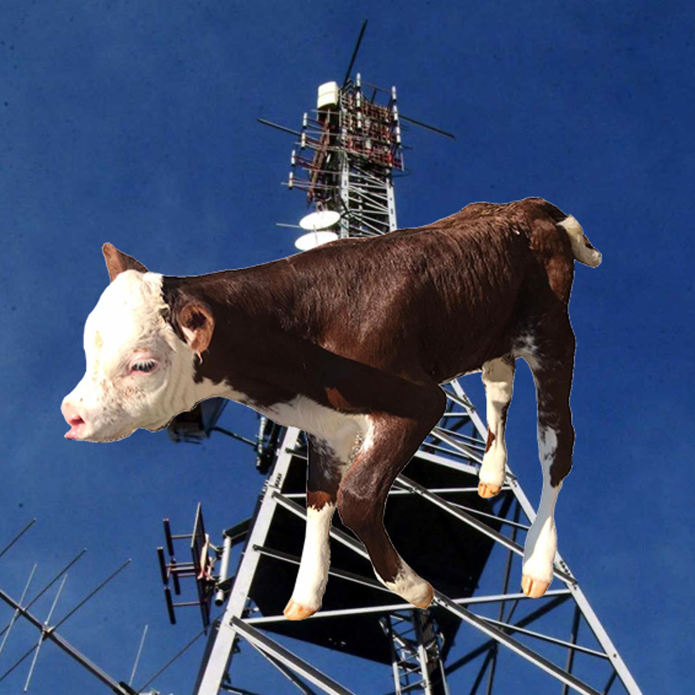 AgriRadioAntena
