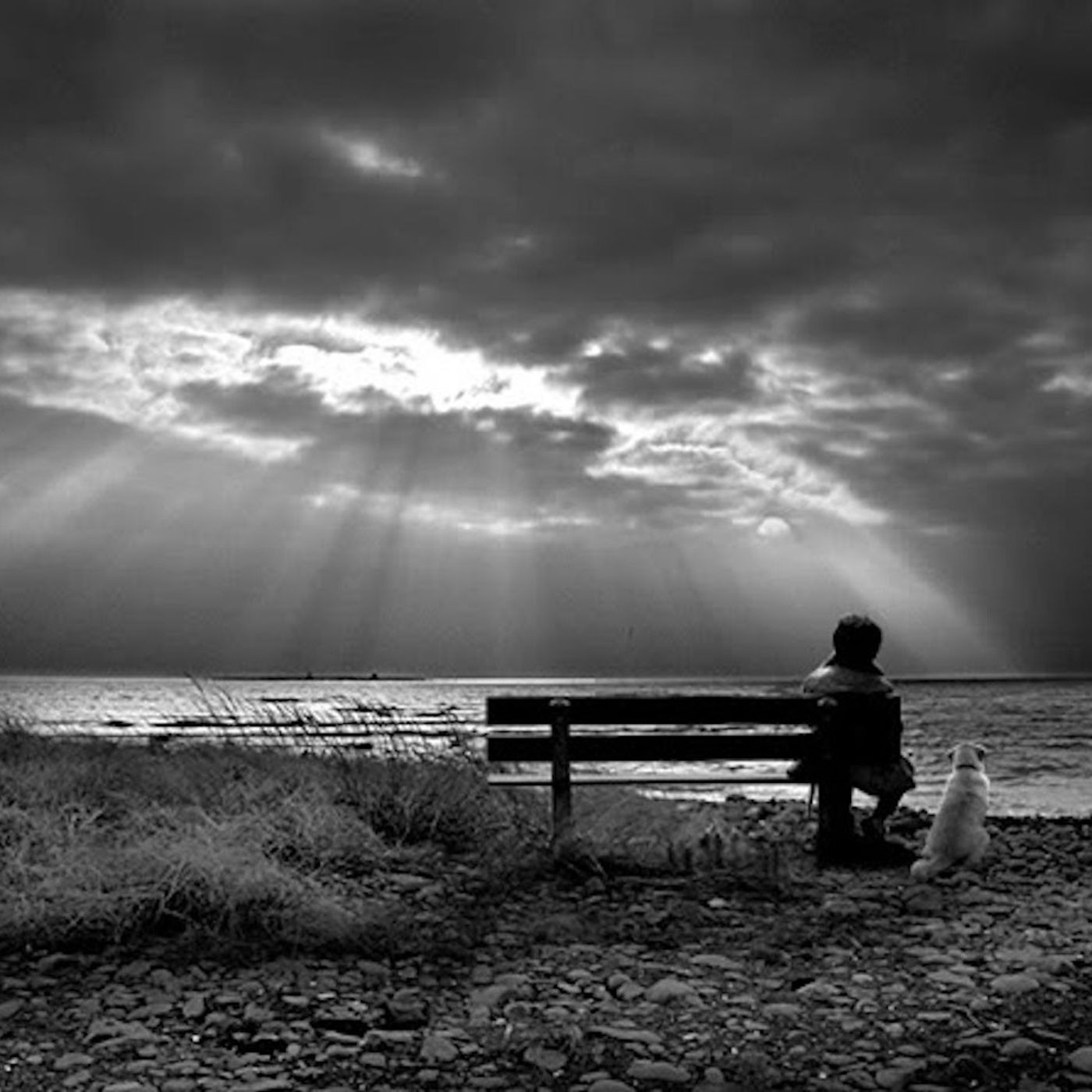 POEMAS Y CANCIONES EN MI VOZ