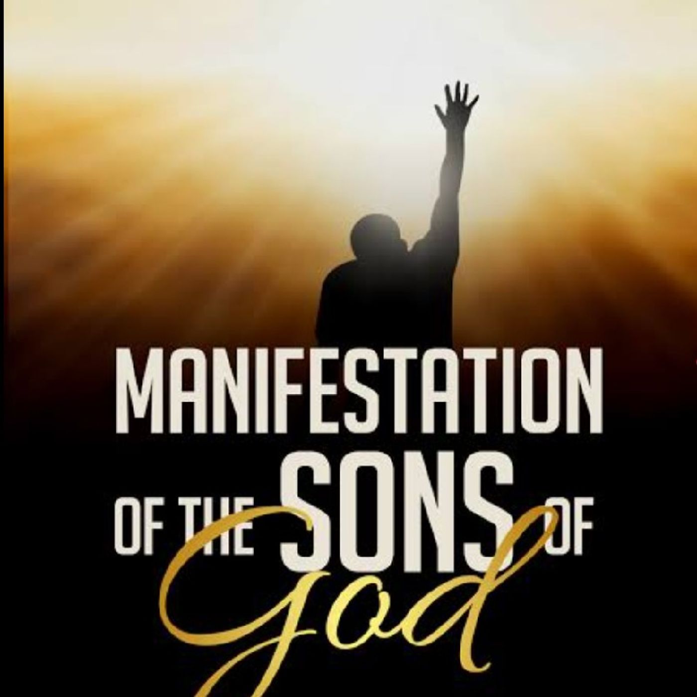 The Divine Ministry International (DMI)