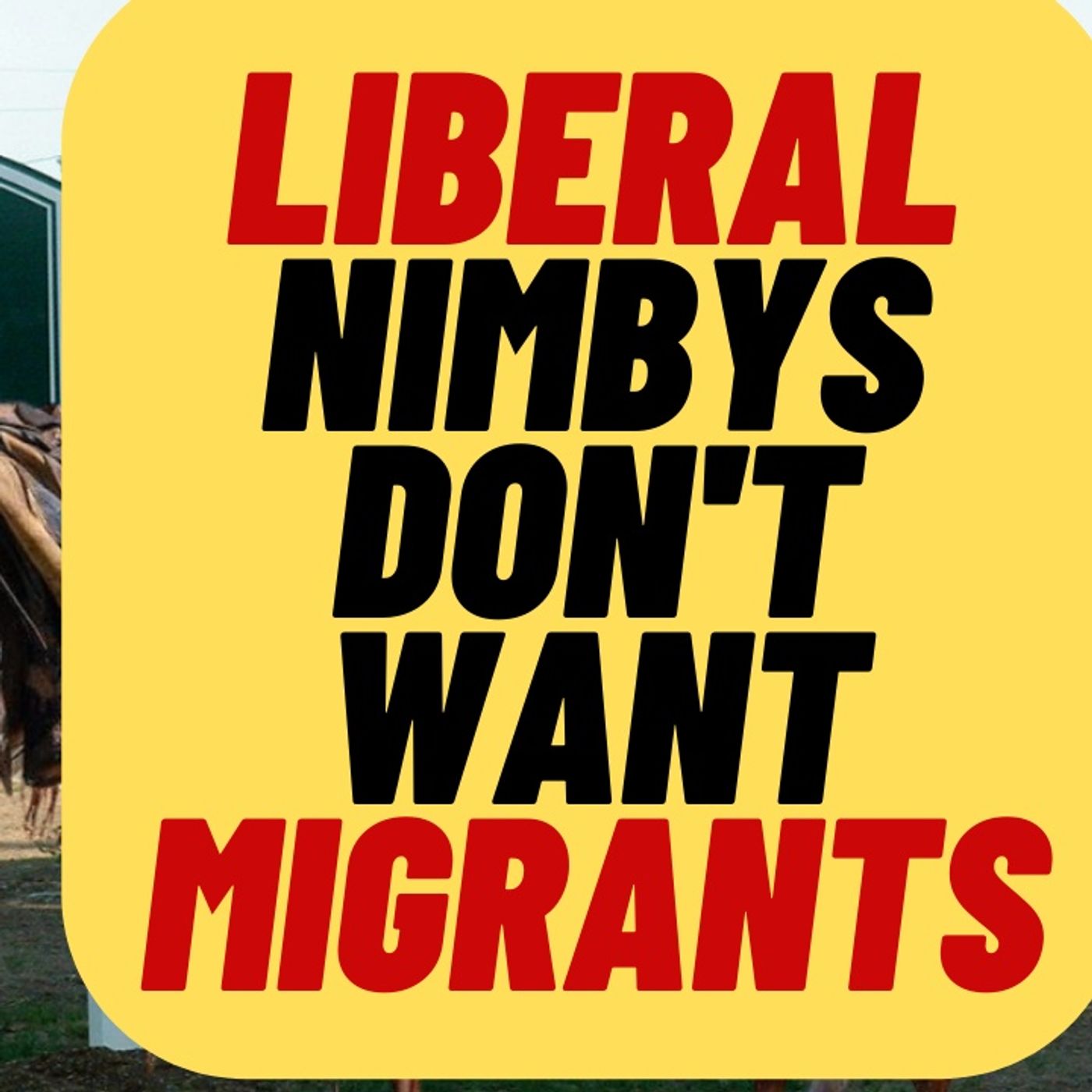 MARTHA'S VINEYARD Has Already Kicked Out The Migrants