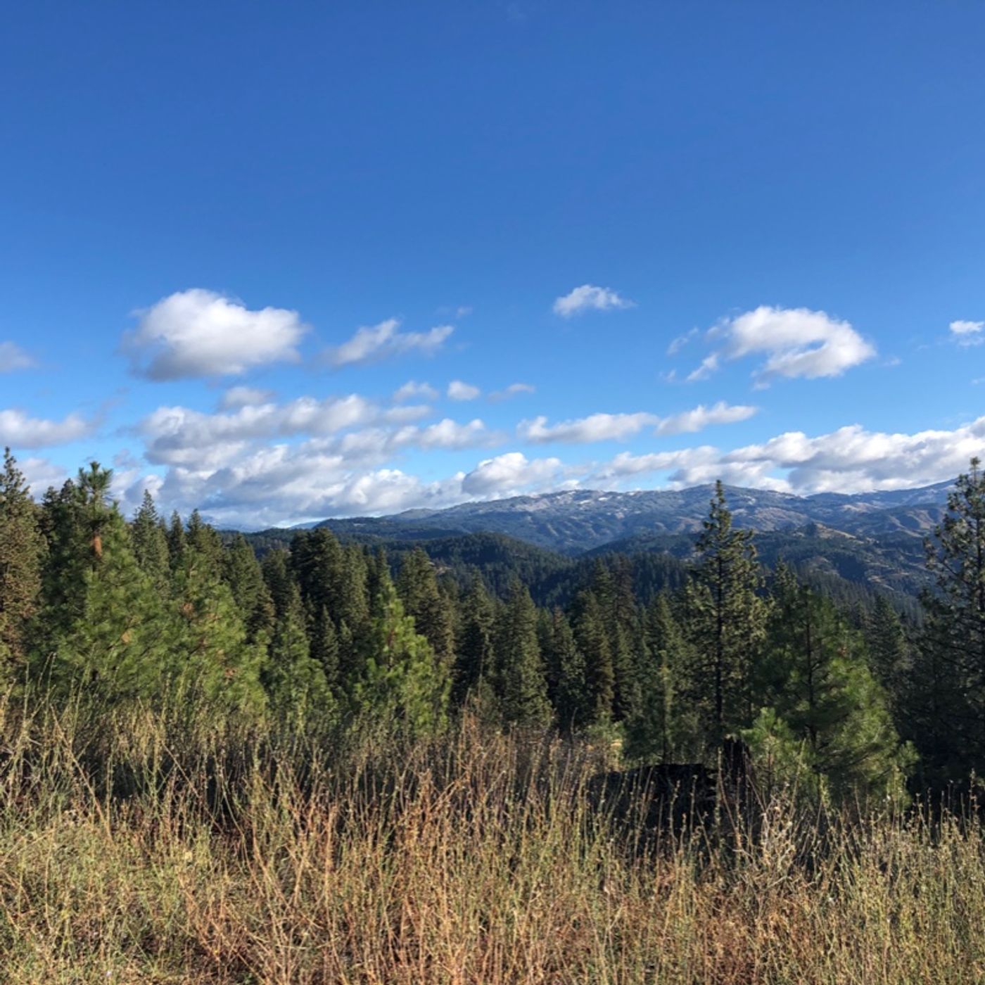 Fasting Social Media - #analoglife Fasting Social Media - #analoglife