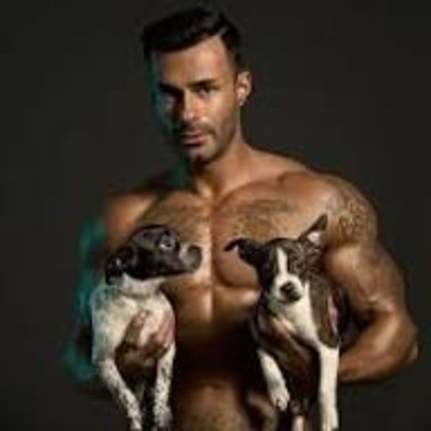 mascotas tipicas de los deportistas