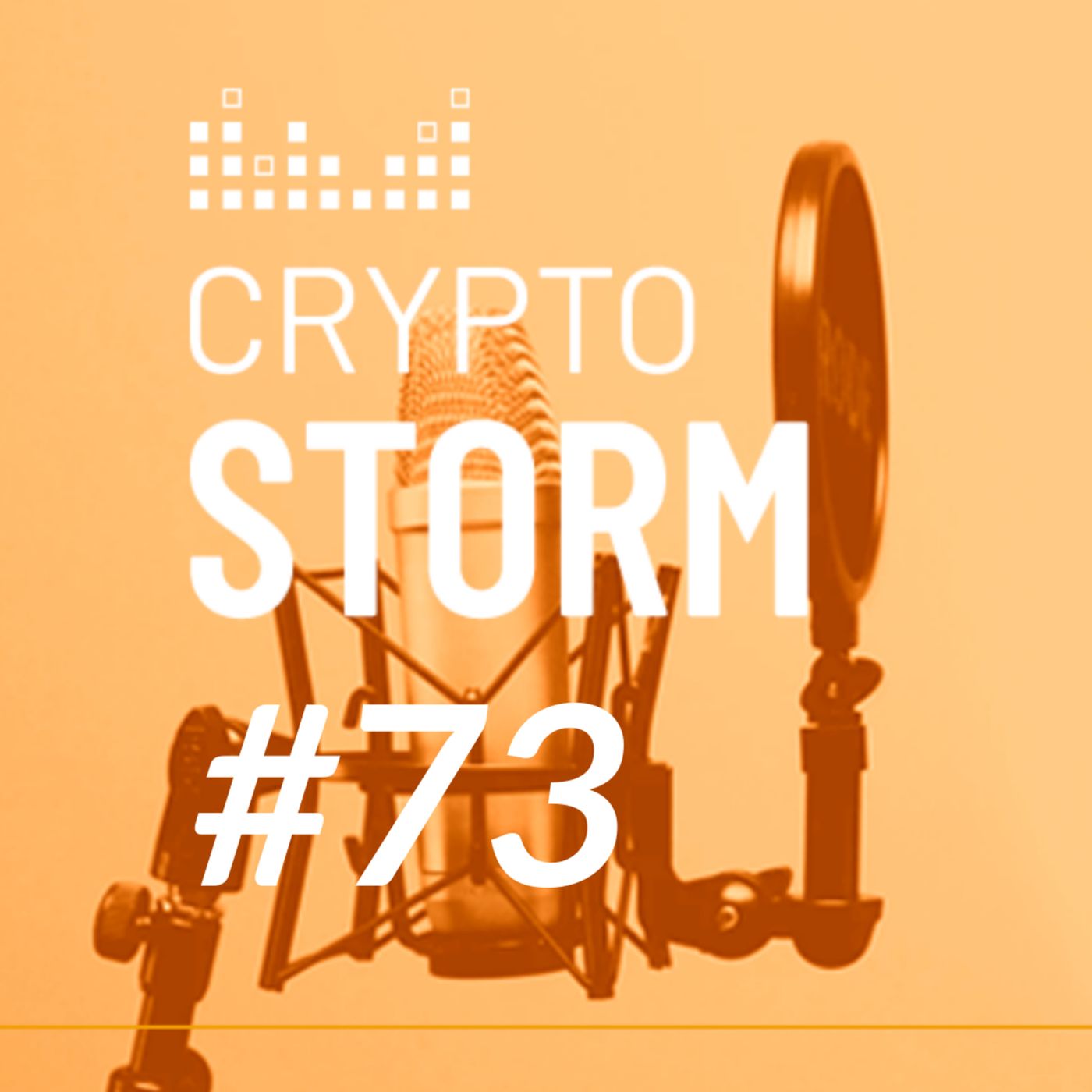 Crypto Storm