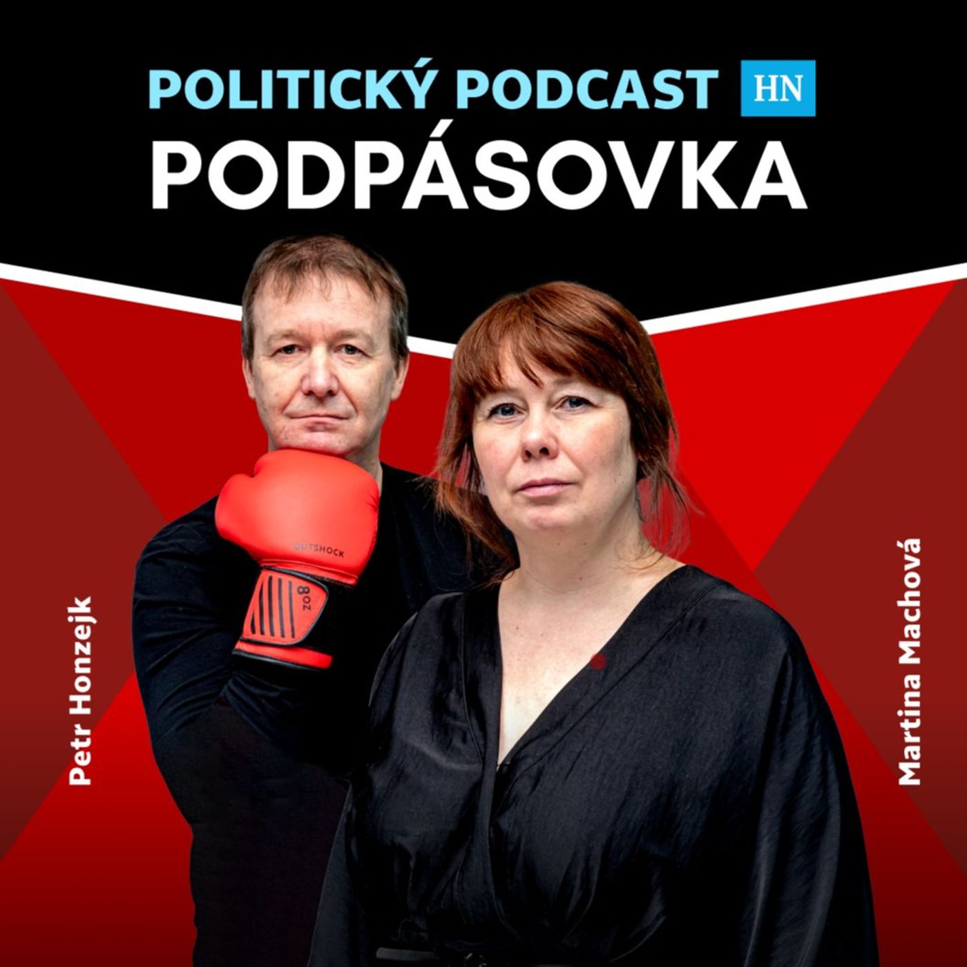 Neuvěřitelné překrucování reality a urážky prezidenta. Máme detaily vládního podání k Ústavnímu soudu