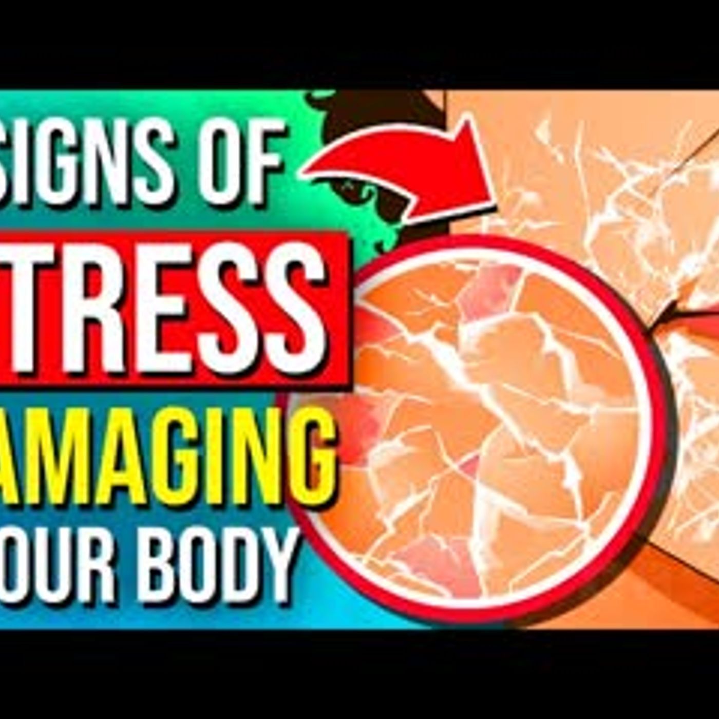 14 Signs Of STRESS That Is DAMAGING Your Body Silently episode artwork