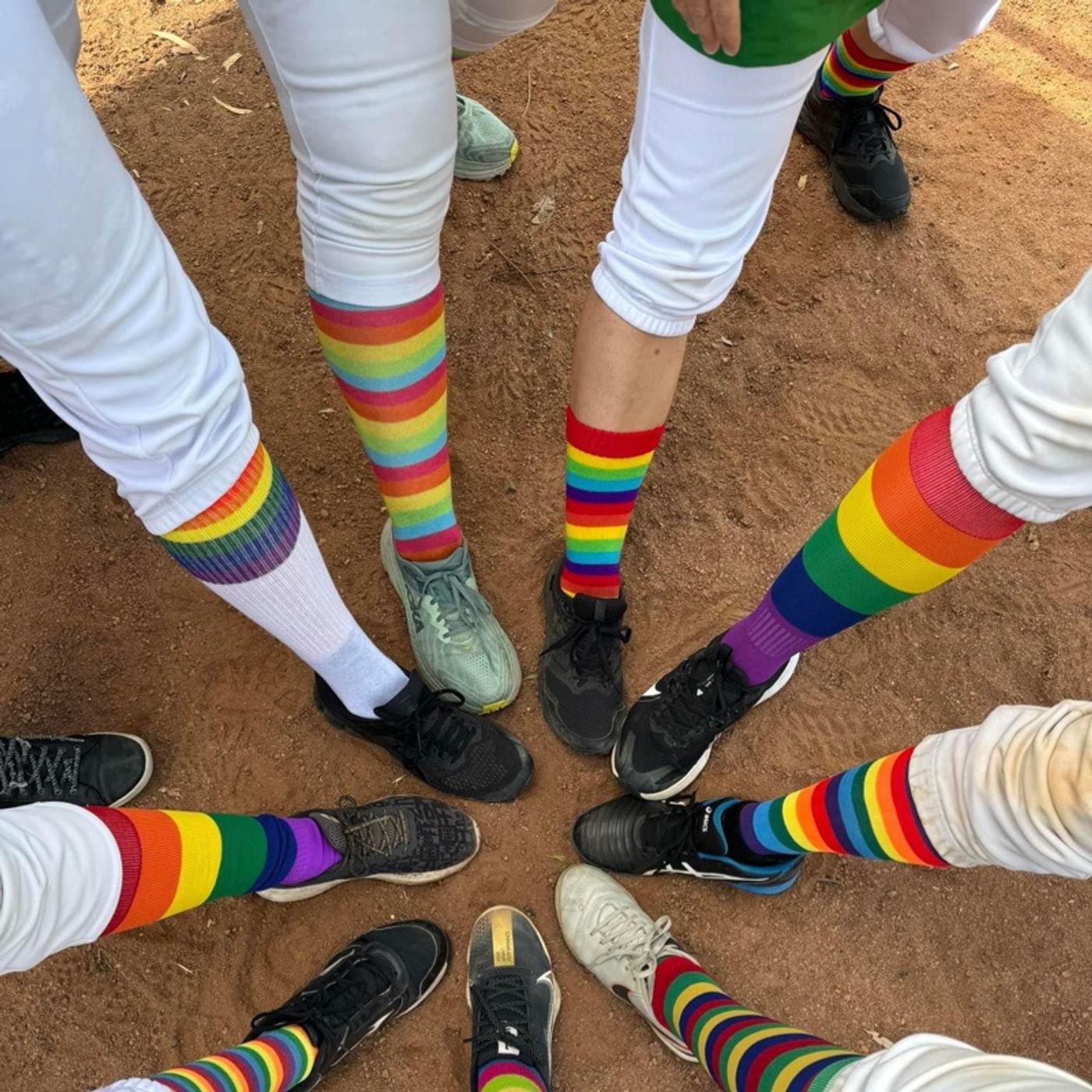 Ladywhips Baseball