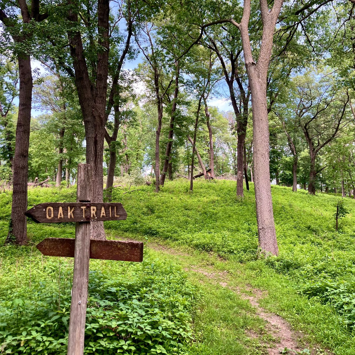 PART II: Tyler Irvine on Common Grounding, Stewardship & The Acorn Theory