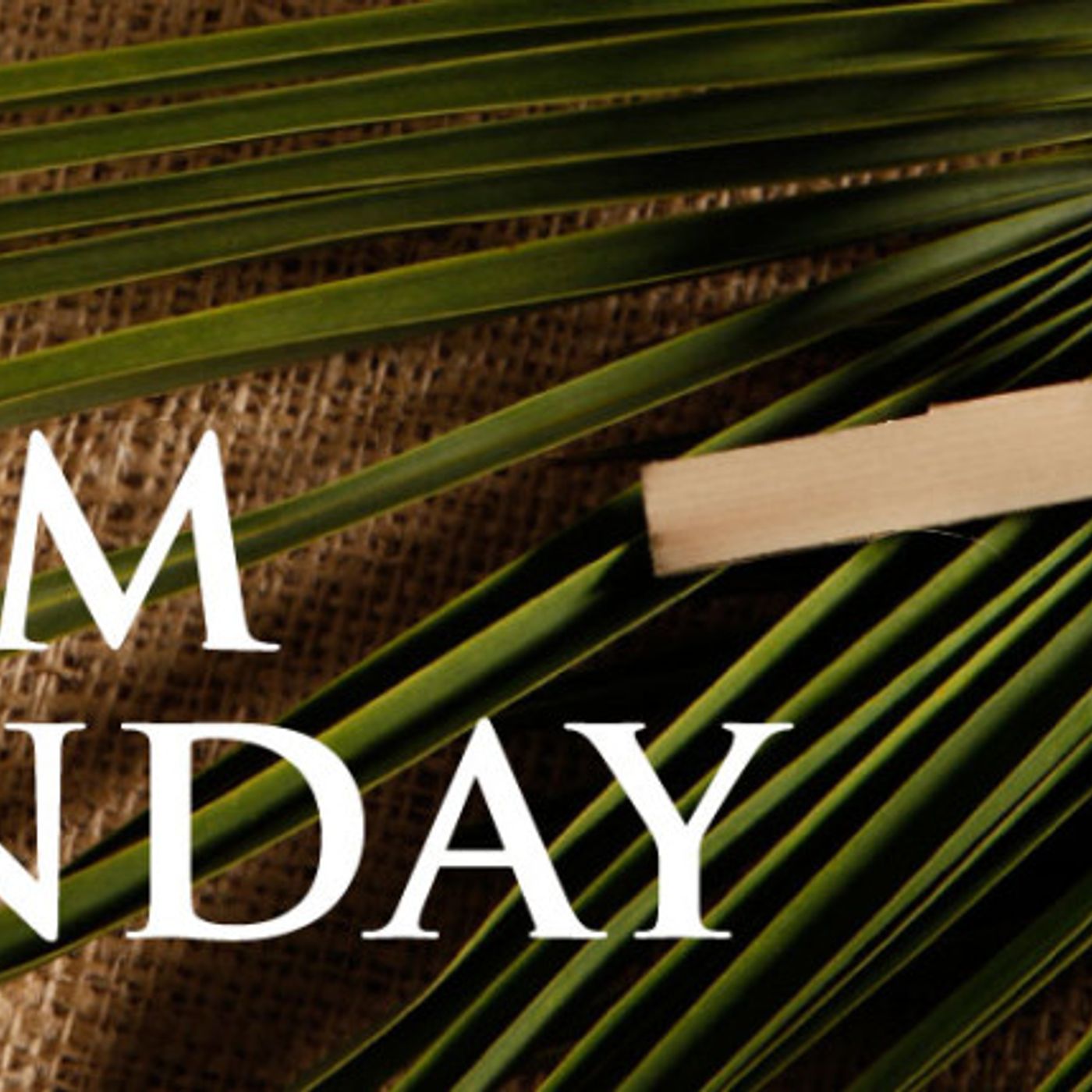 Palm Sunday Is Jesus Telling The World I Am The Messiah episode artwork