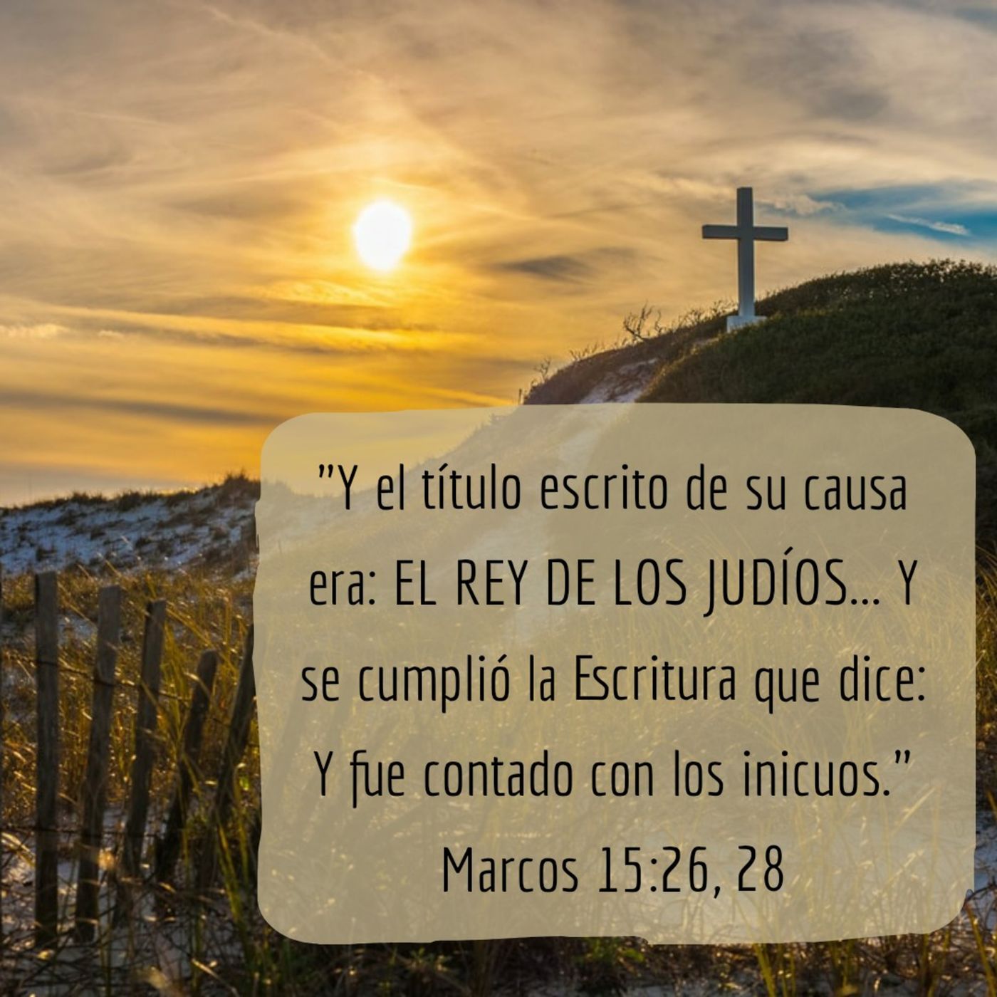 Ministerio UMCD - Un Momento Con Dios | Reflexiones Cristianas