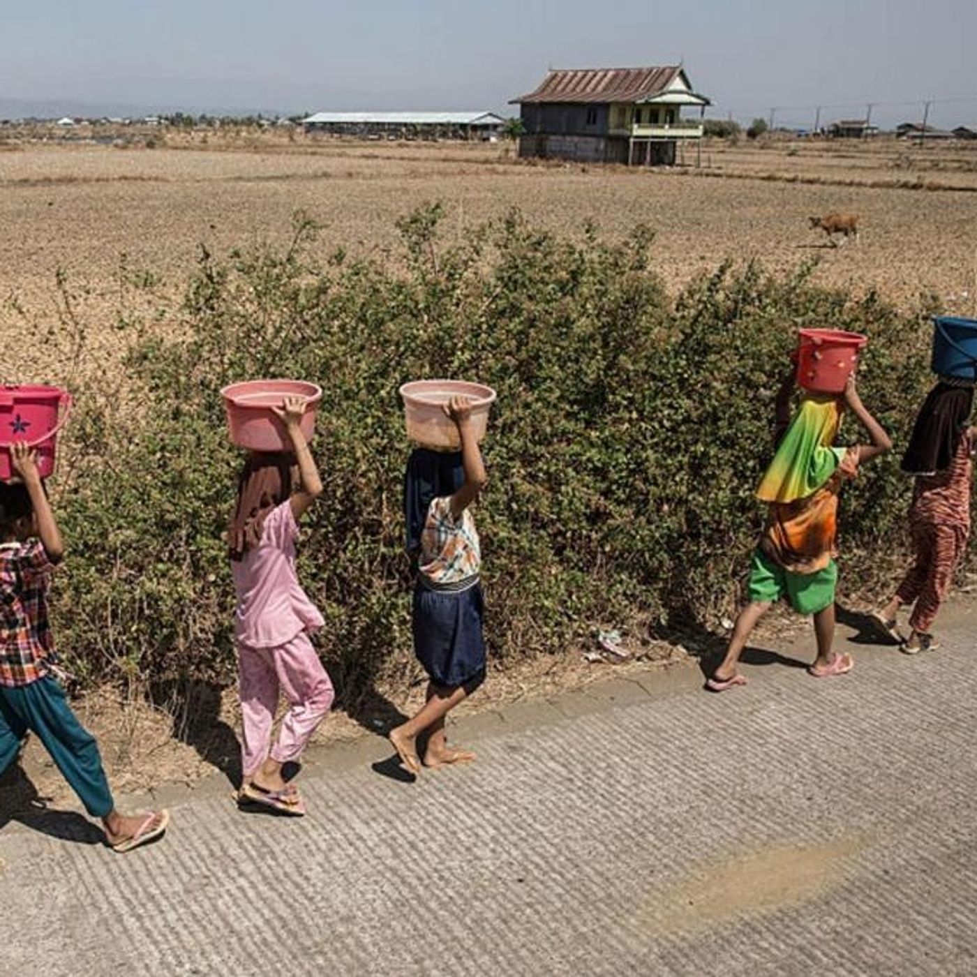 El Niño set to be 'strongest in living memory', says Met Office episode artwork