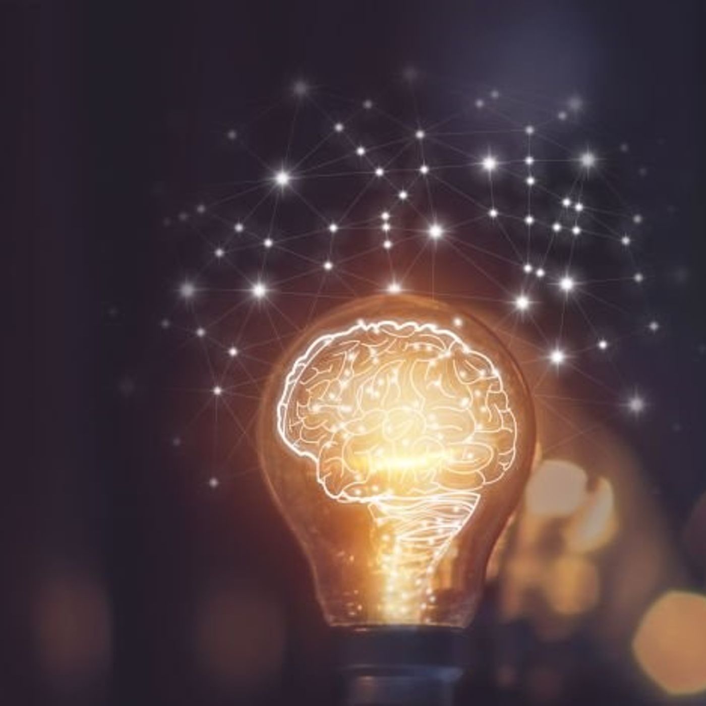 La ciencia del aprendizaje