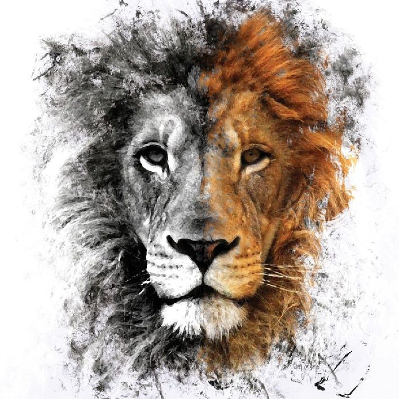 LION Radio