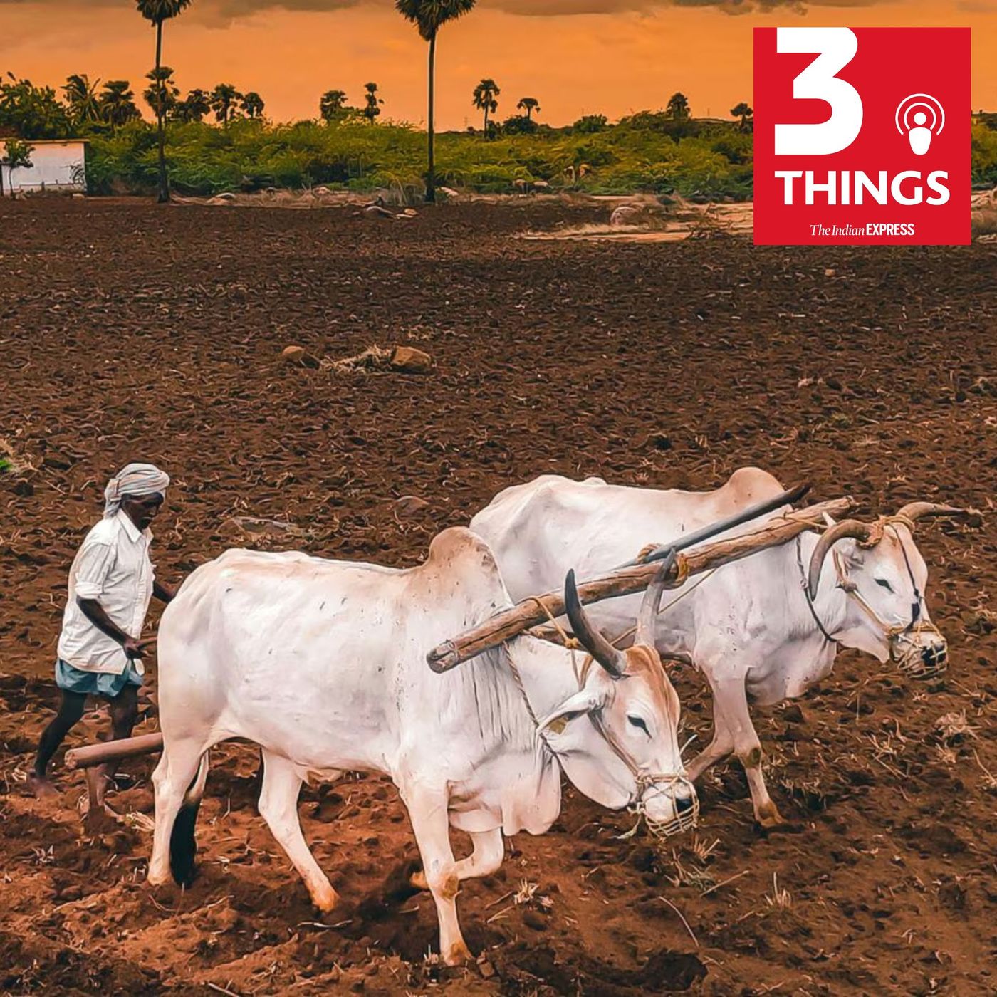 India-US trade on agriculture, teachers step up, and unwanted photos in Goa