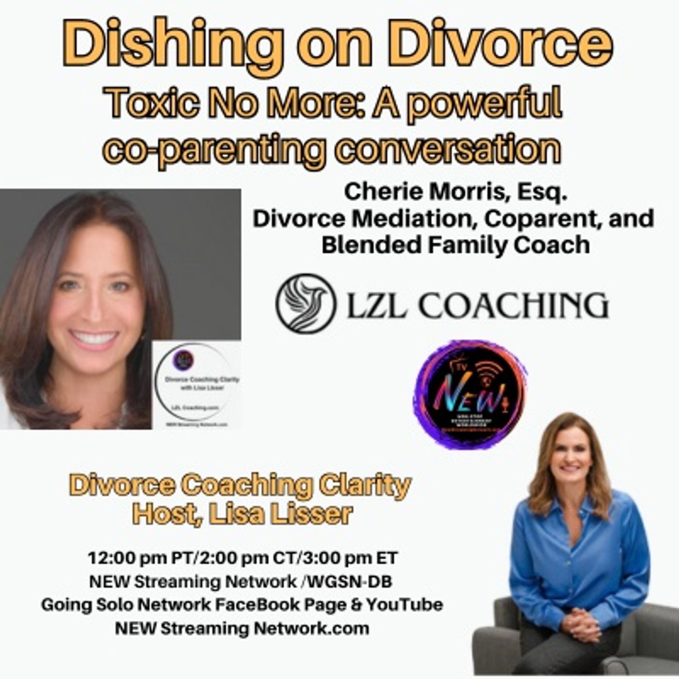 Dishing On Divorce - Lisa Lisser