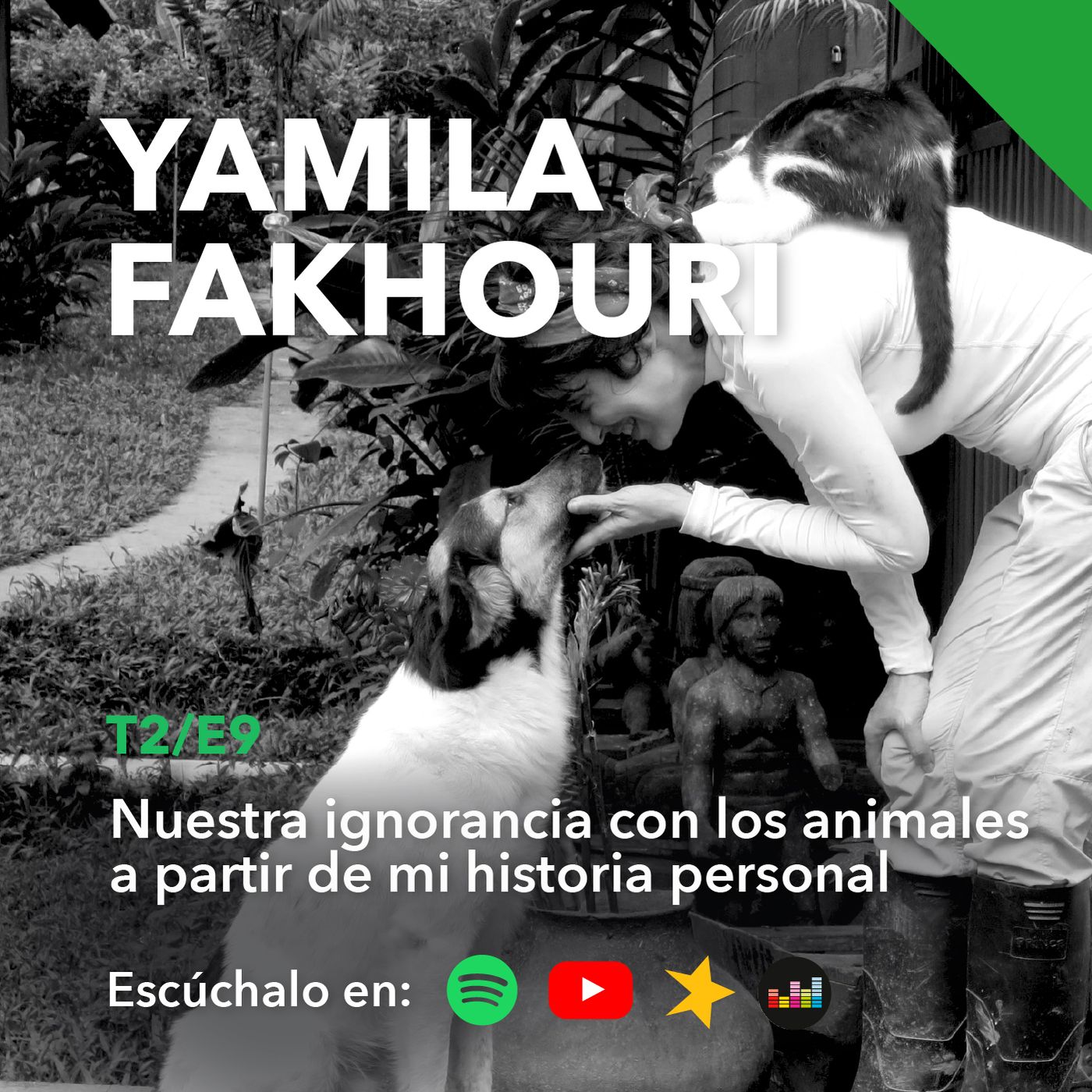 Yamila Fakhouri