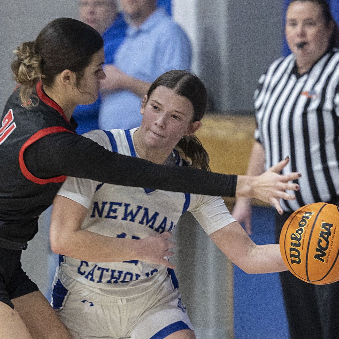 Newman recovers from slow start to top Stillman Valley episode artwork