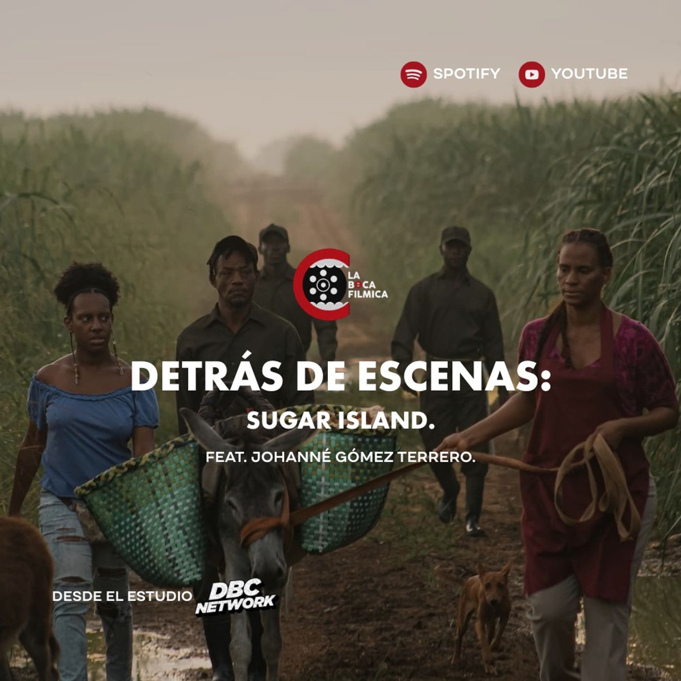 71. Detrás de Escenas: Sugar Island | feat. Johanné Gómez Terrero.